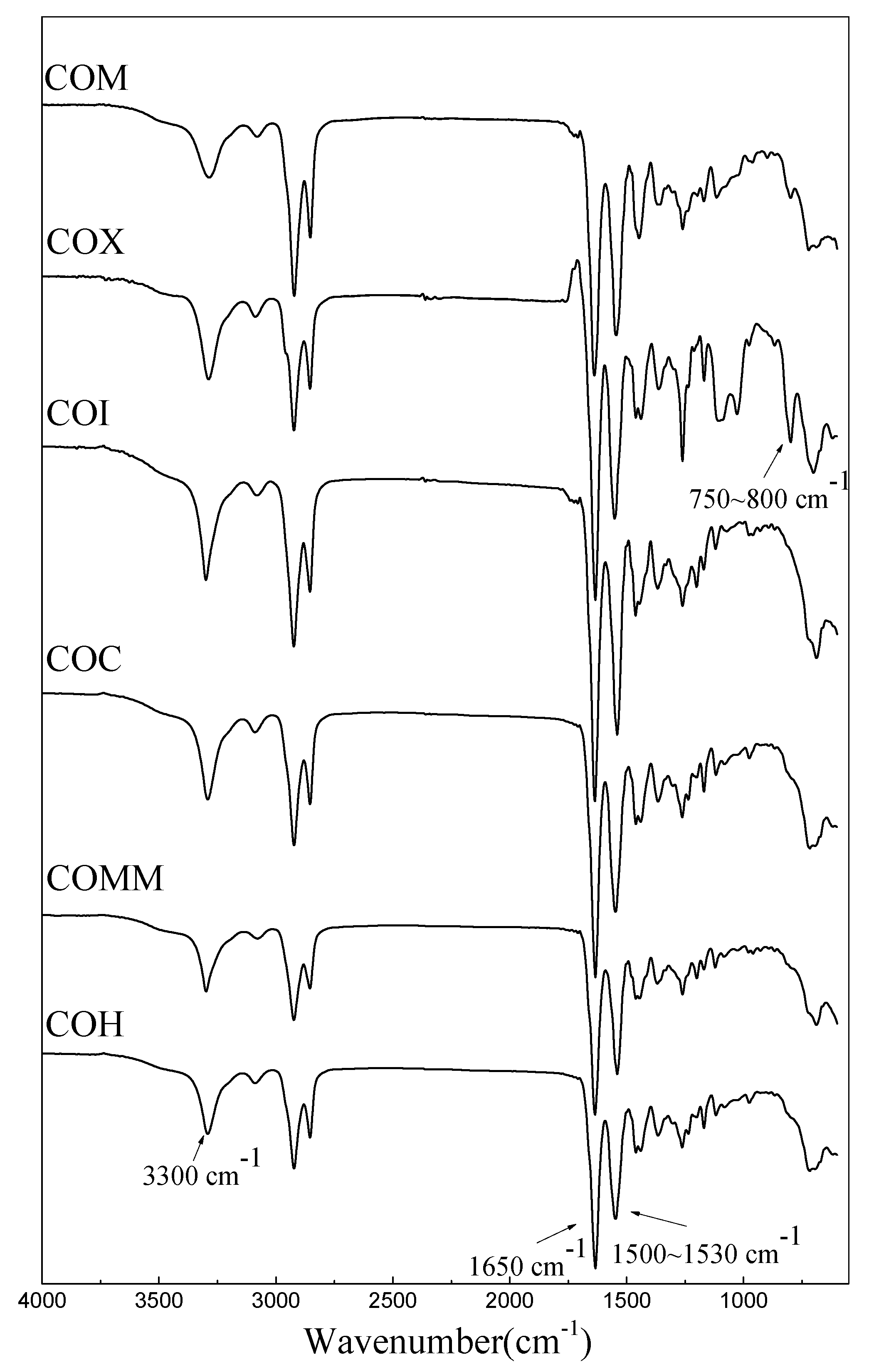 Polymers 11 00386 g002