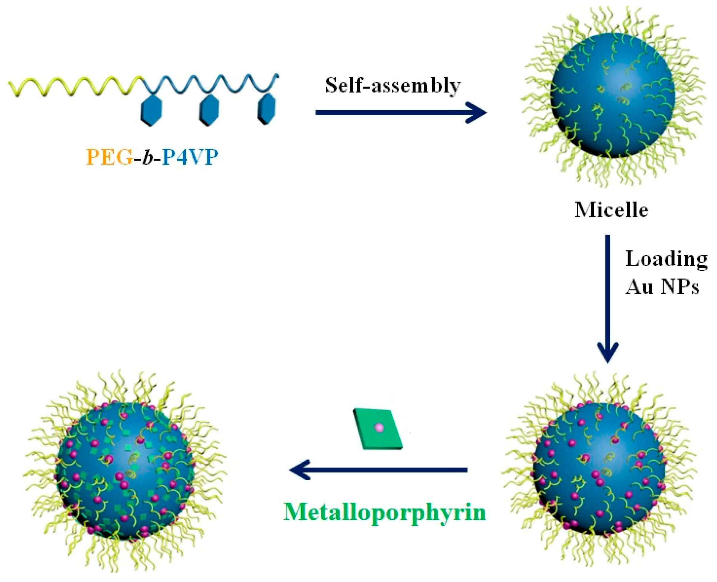 Polymers Free FullText Fabrication of Hybrid Polymeric Micelles Containing AuNPs and
