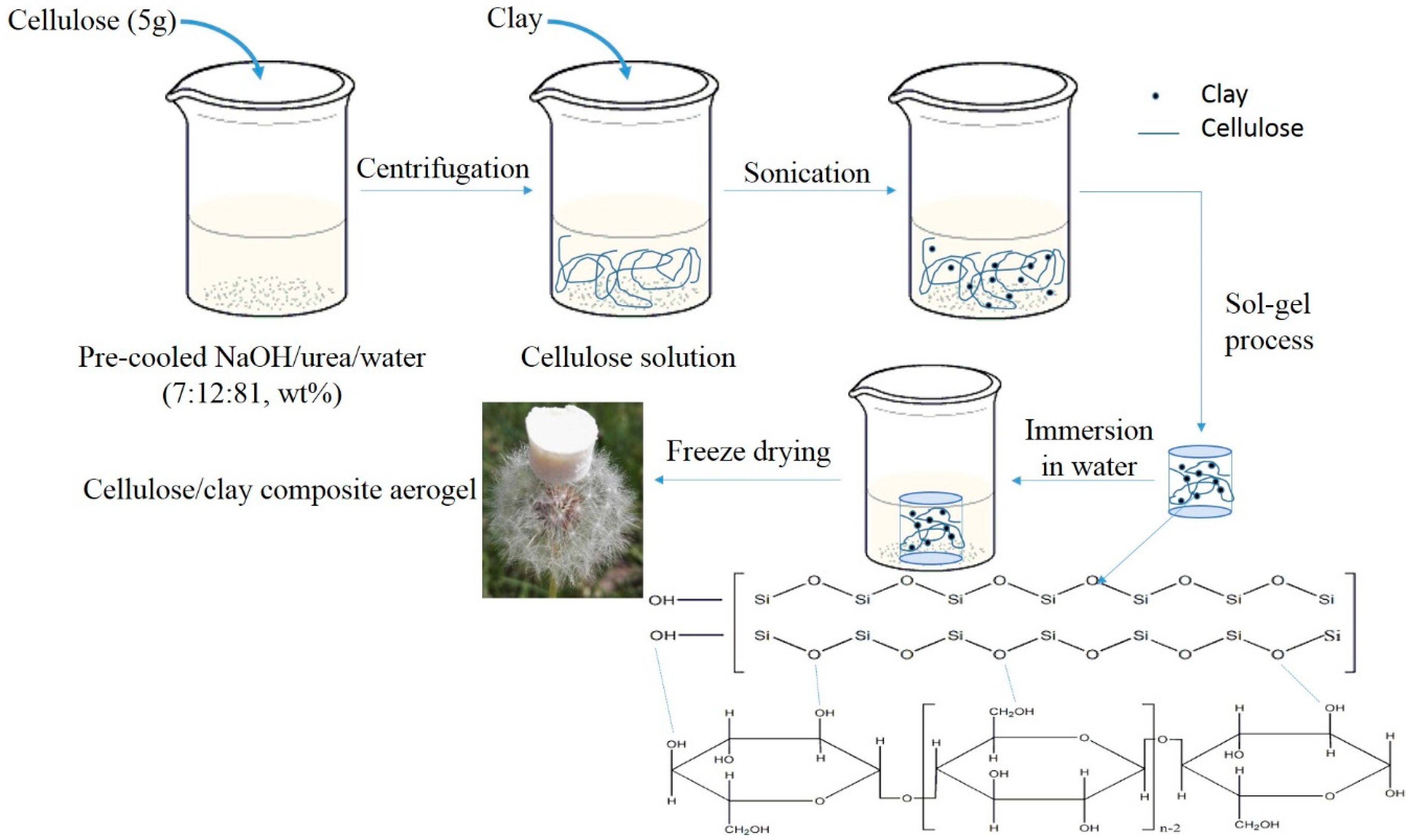 Polymers 11 00415 g001 550