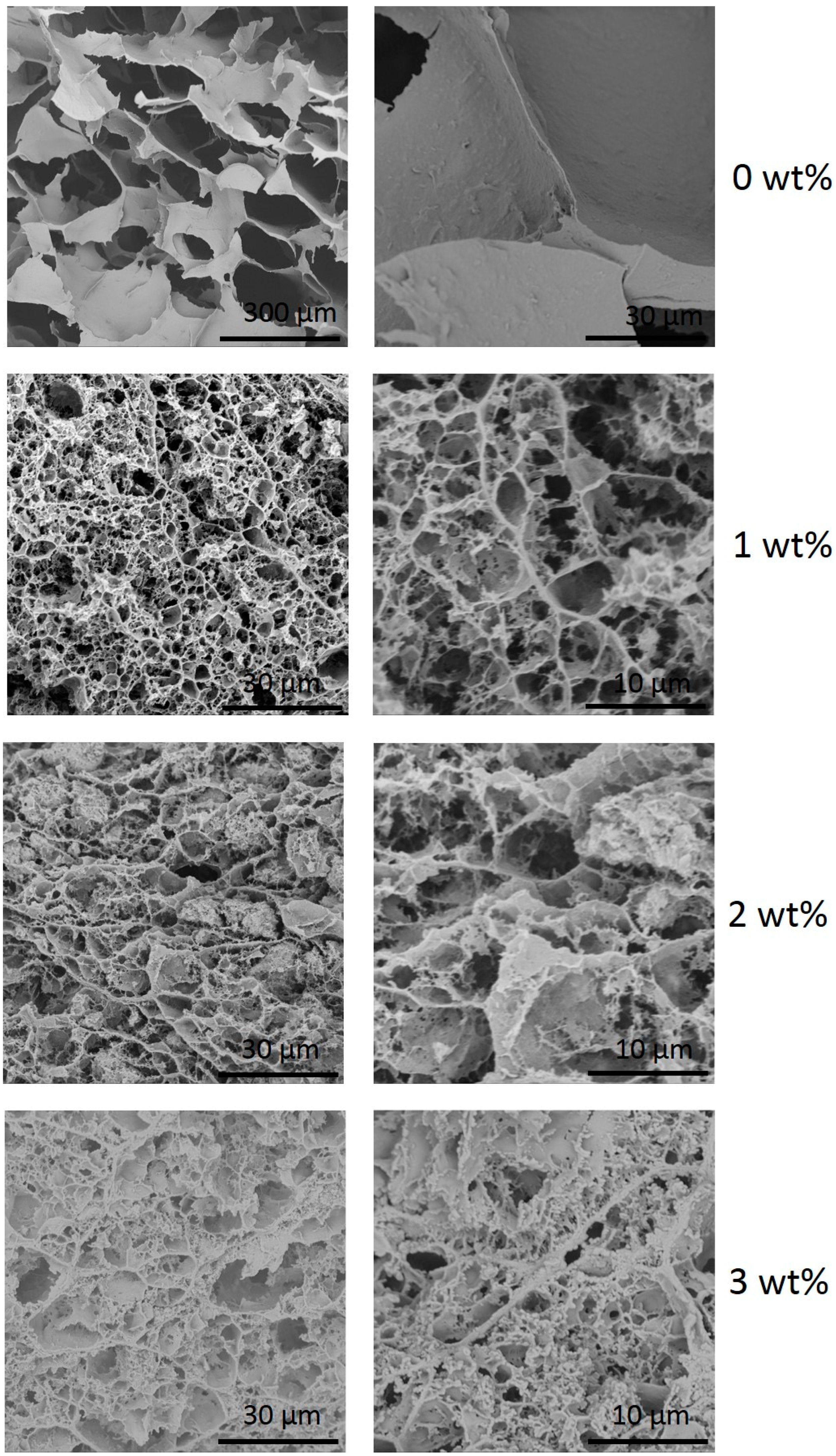 Polymers 11 00415 g003 550