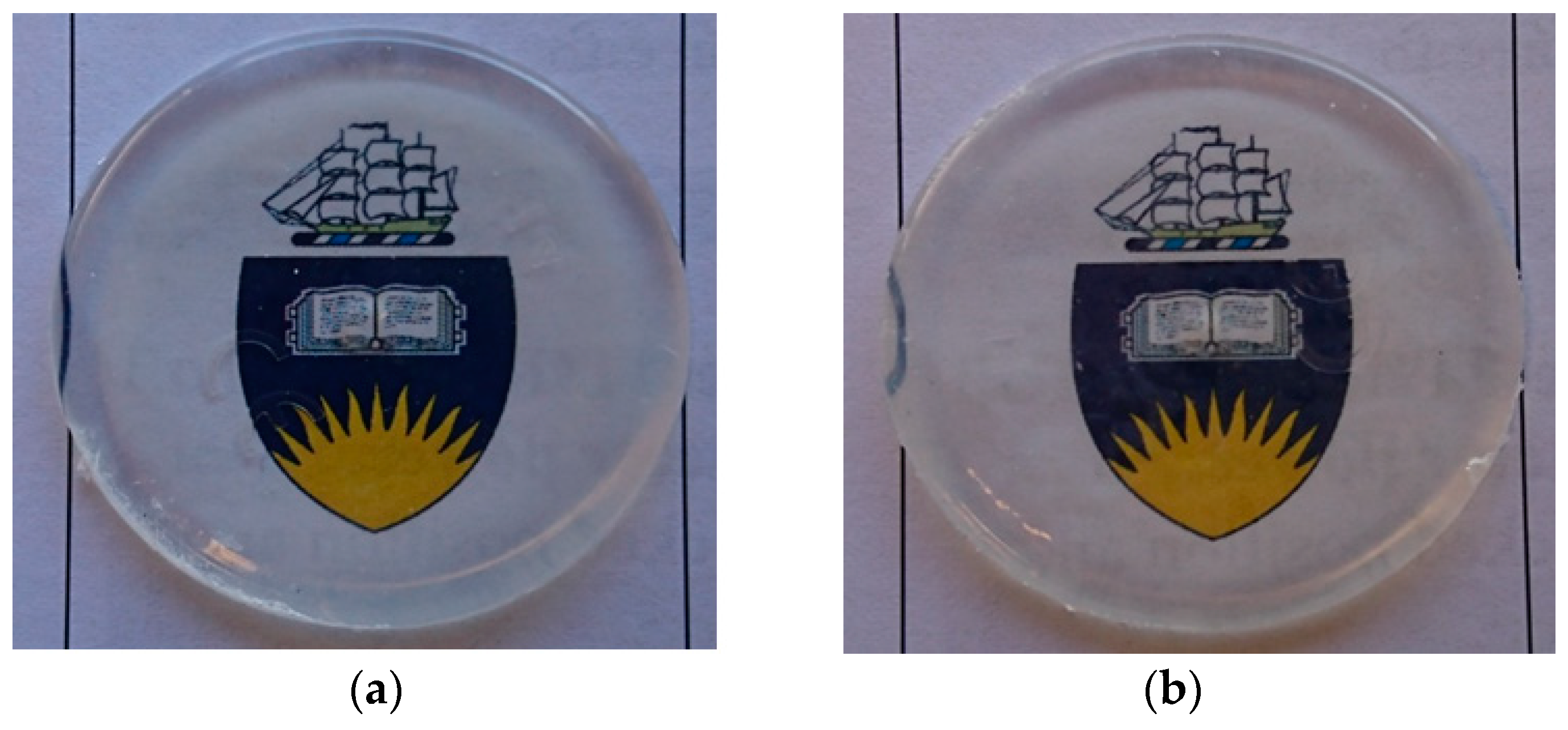 Polymers 11 00420 g008