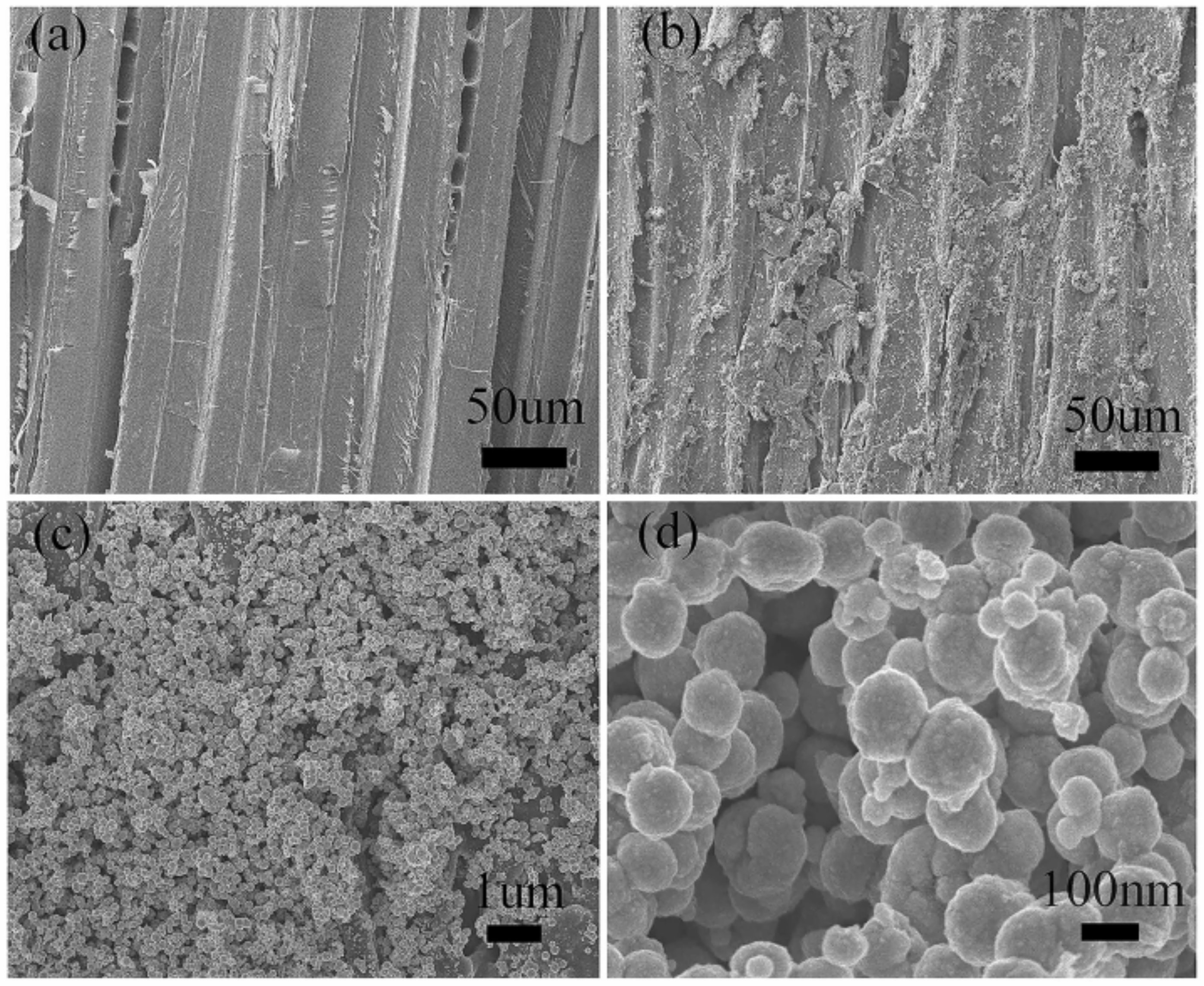 Polymers 11 00421 g004 Polymers 11 00421 g004