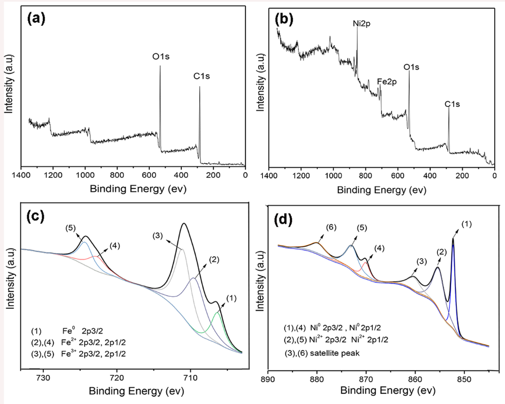 Polymers 11 00421 g006 Polymers 11 00421 g006