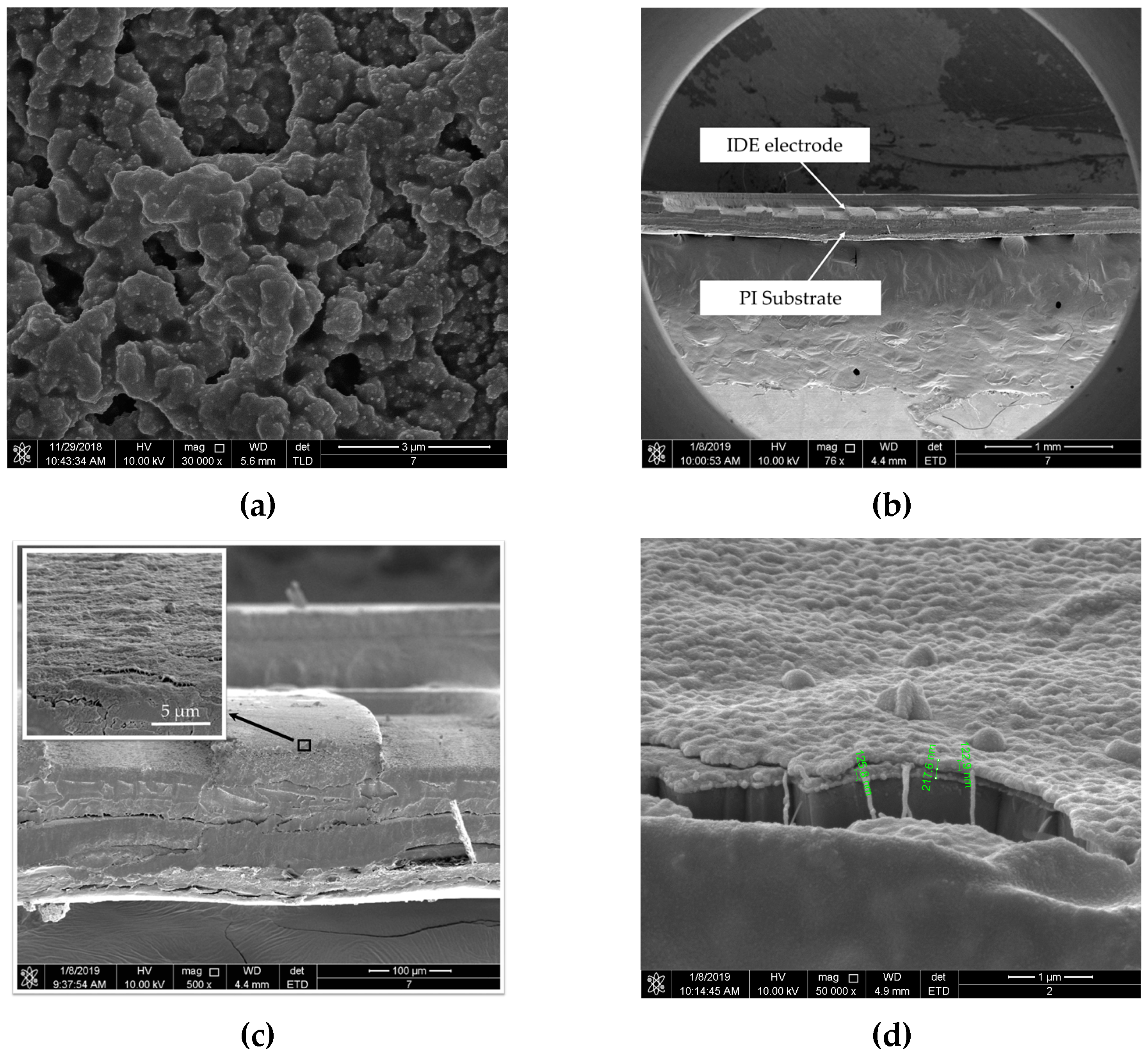 Polymers 11 00423 g009 Polymers 11 00423 g009