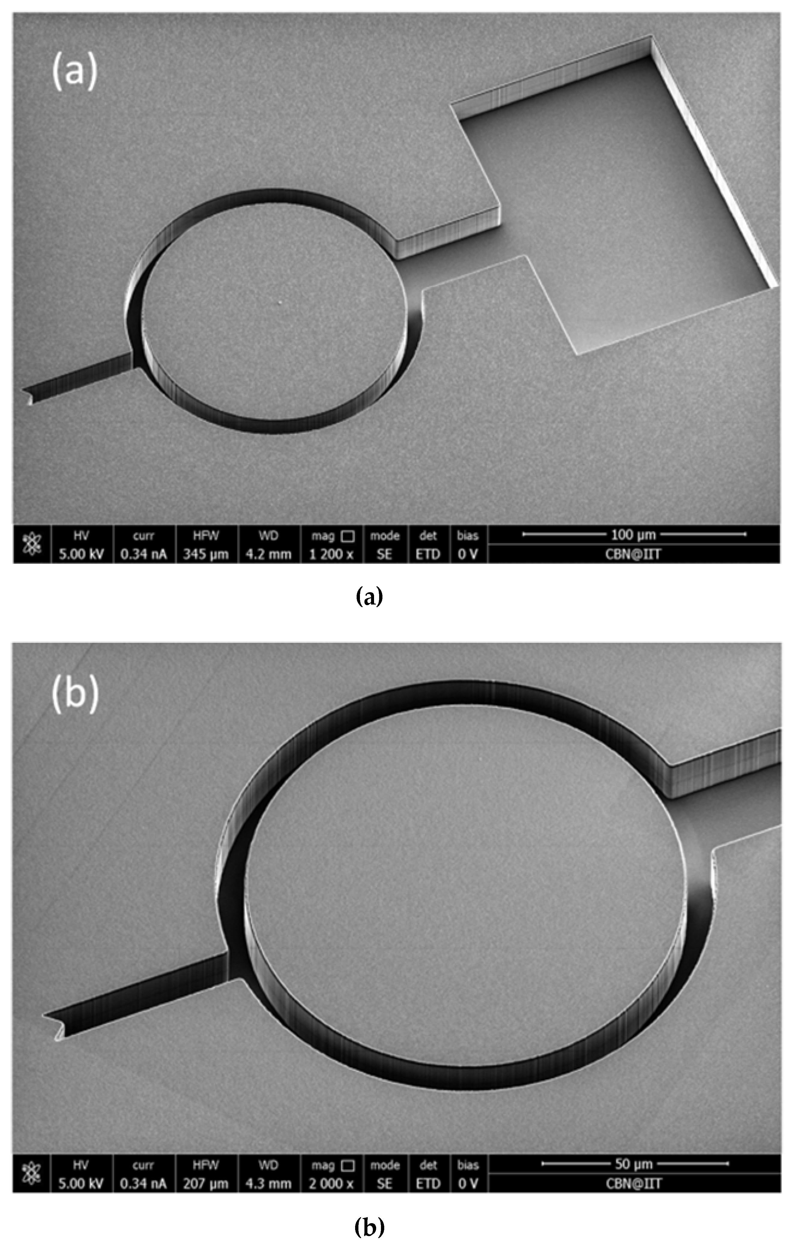 Polymers 11 00424 g003