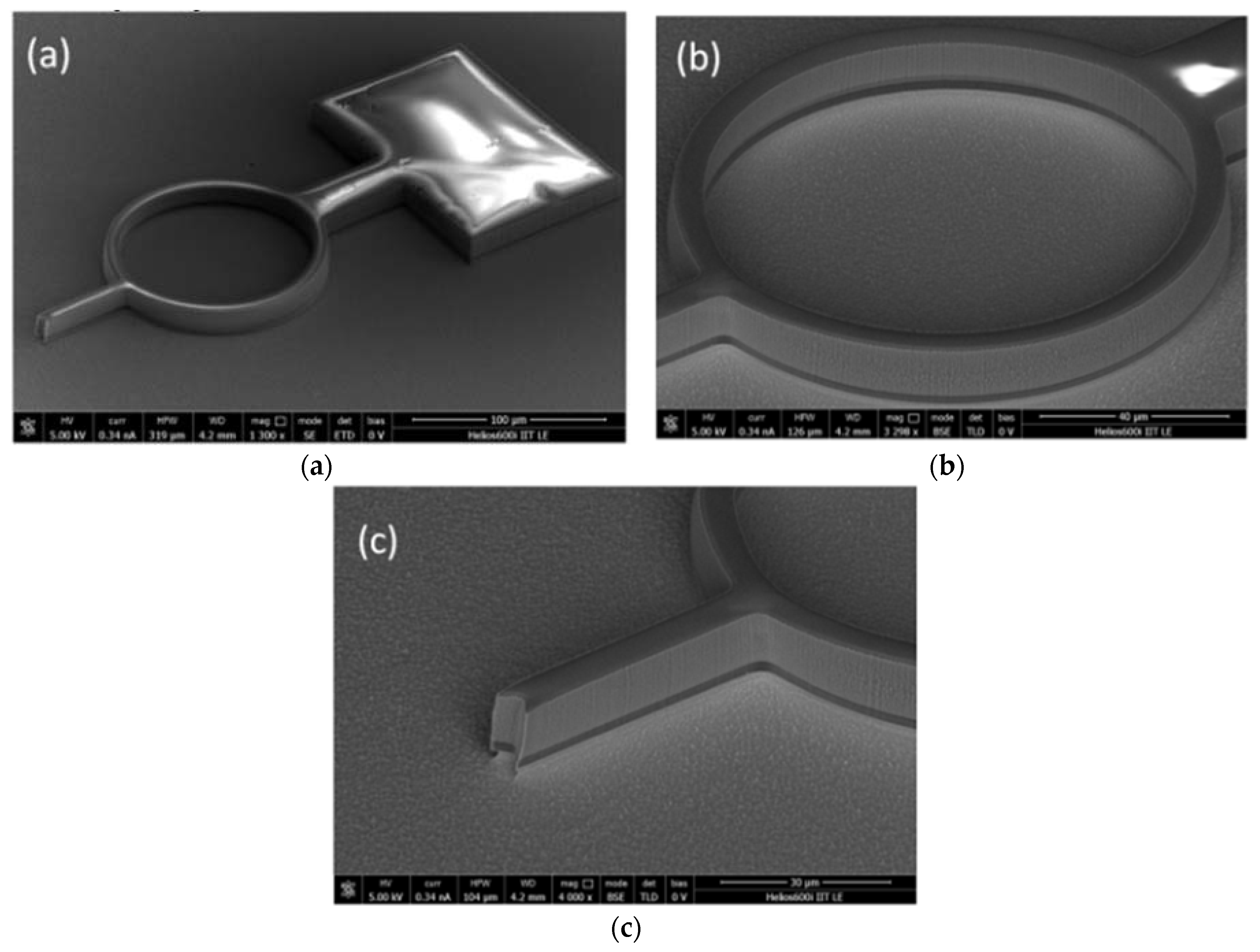 Polymers 11 00424 g004
