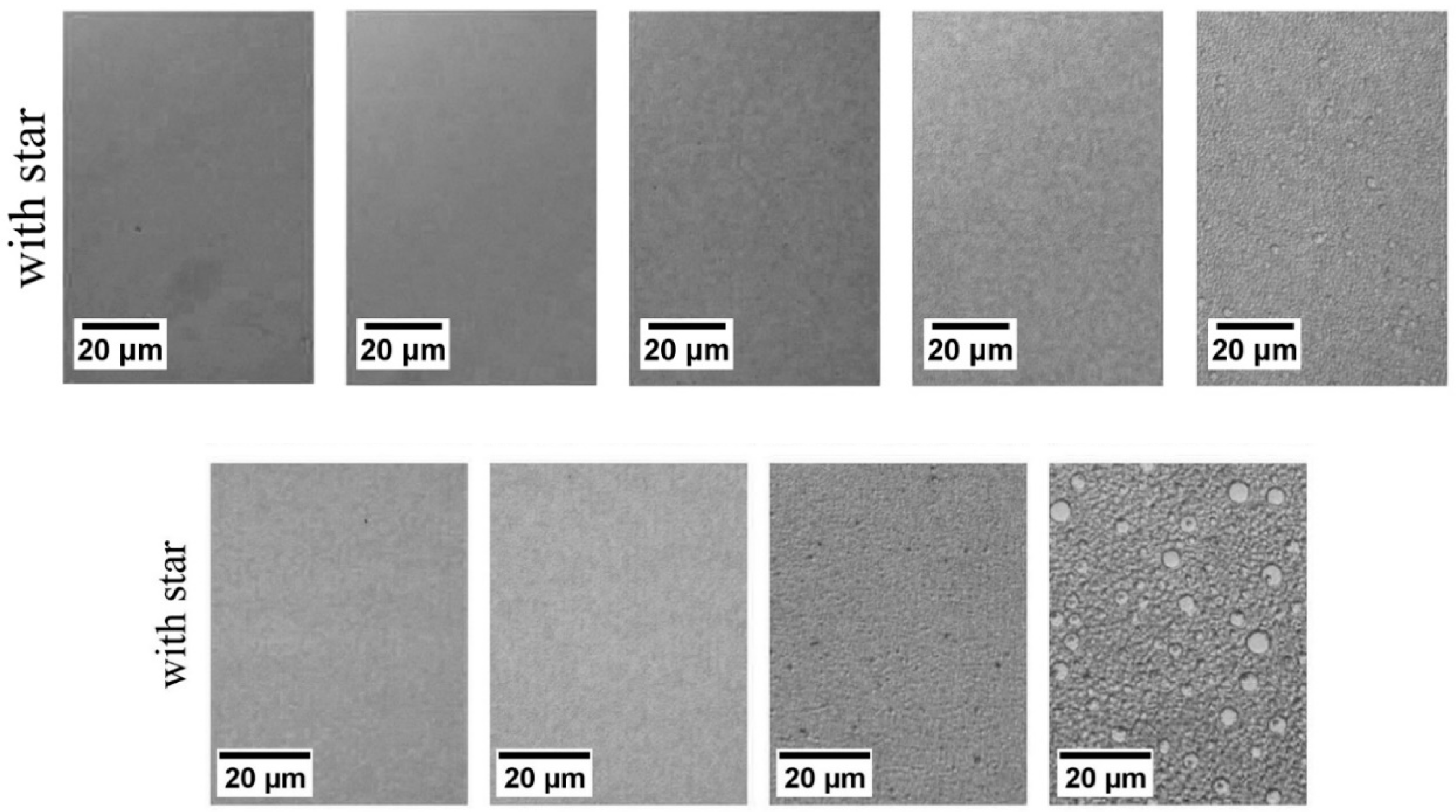 Polymers 11 00425 g014