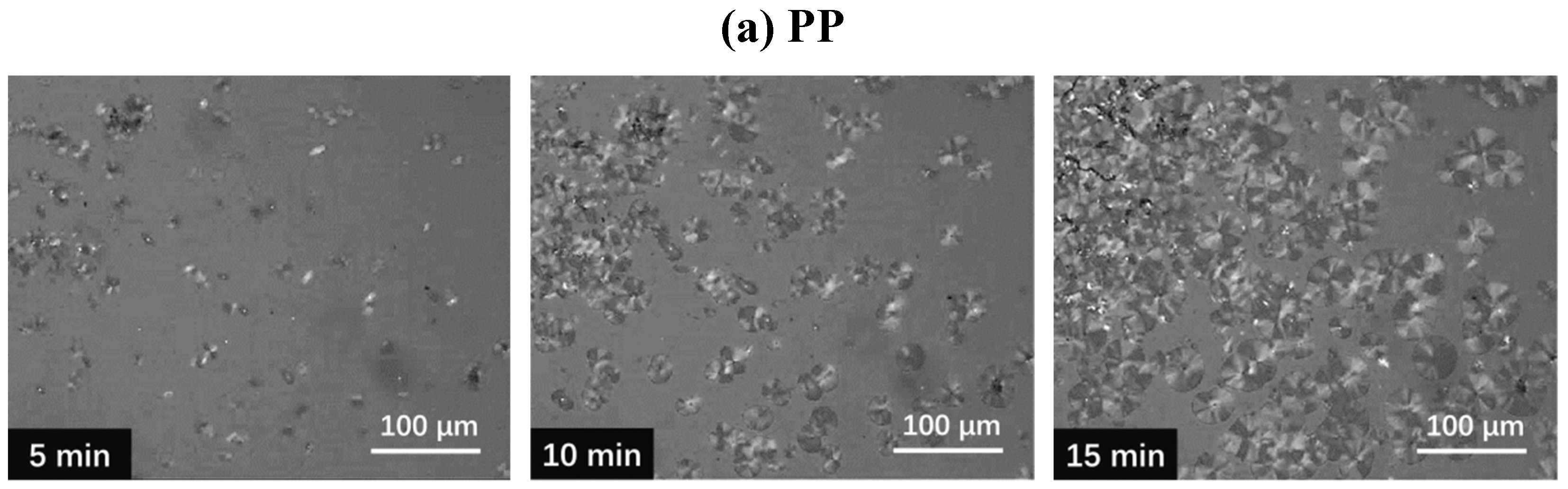 Polymers 11 00433 g010a