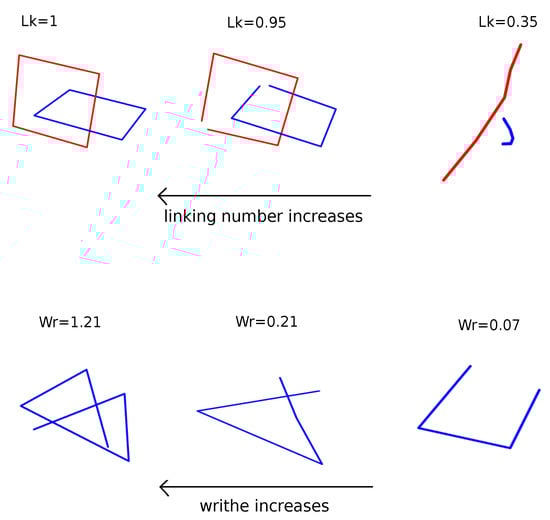 Polymers Free Full Text Topological Methods For Polymeric Materials Characterizing The Relationship Between Polymer Entanglement And Viscoelasticity Html