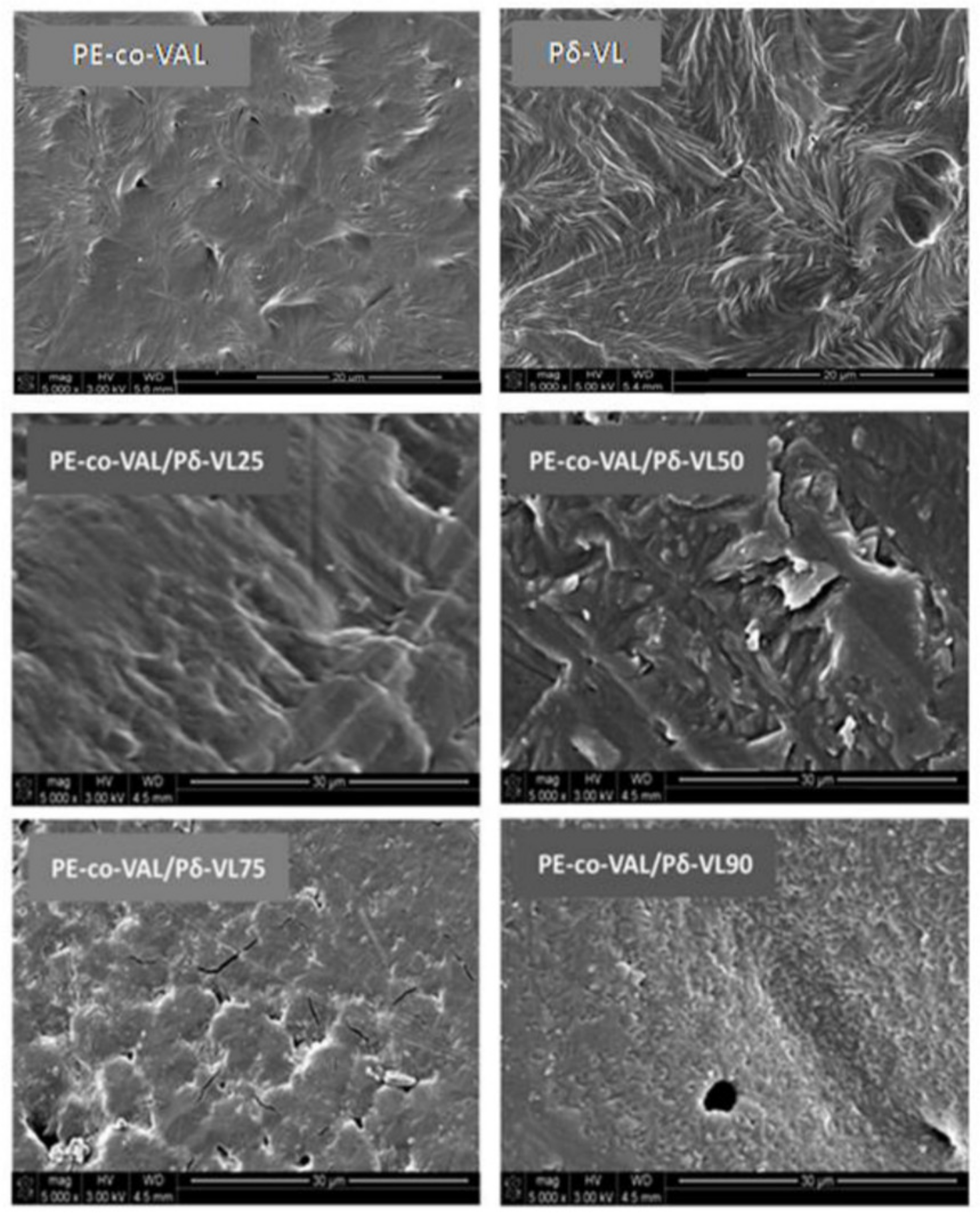 Polymers 11 00439 g008 550