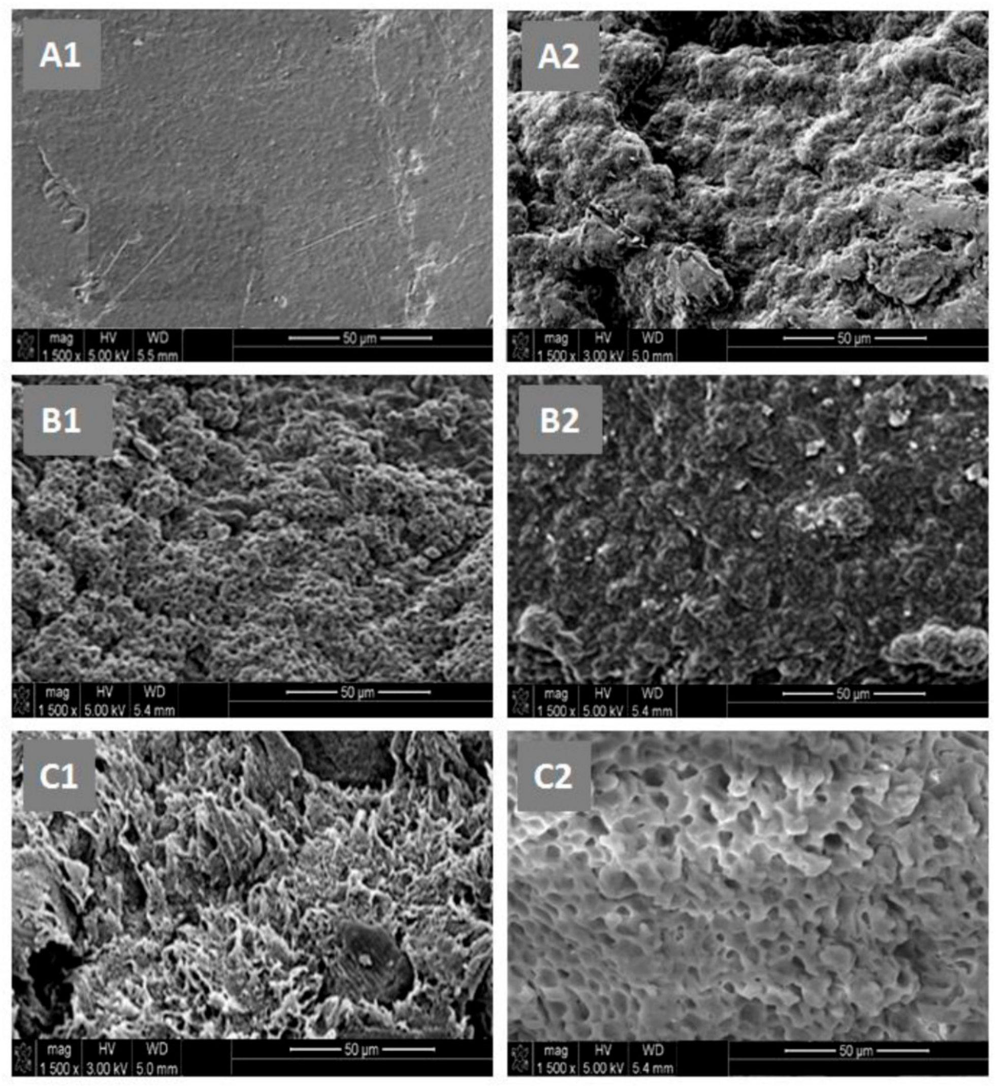 Polymers 11 00439 g011 550
