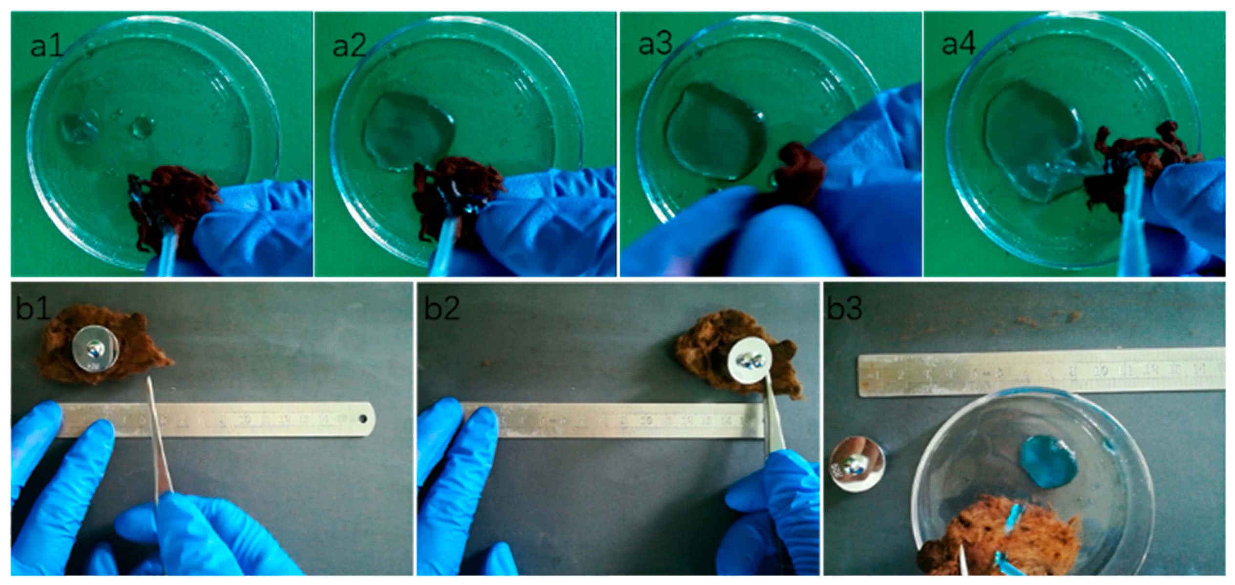 Polymers | Free Full-Text | Facile Fabrication of Magnetic 