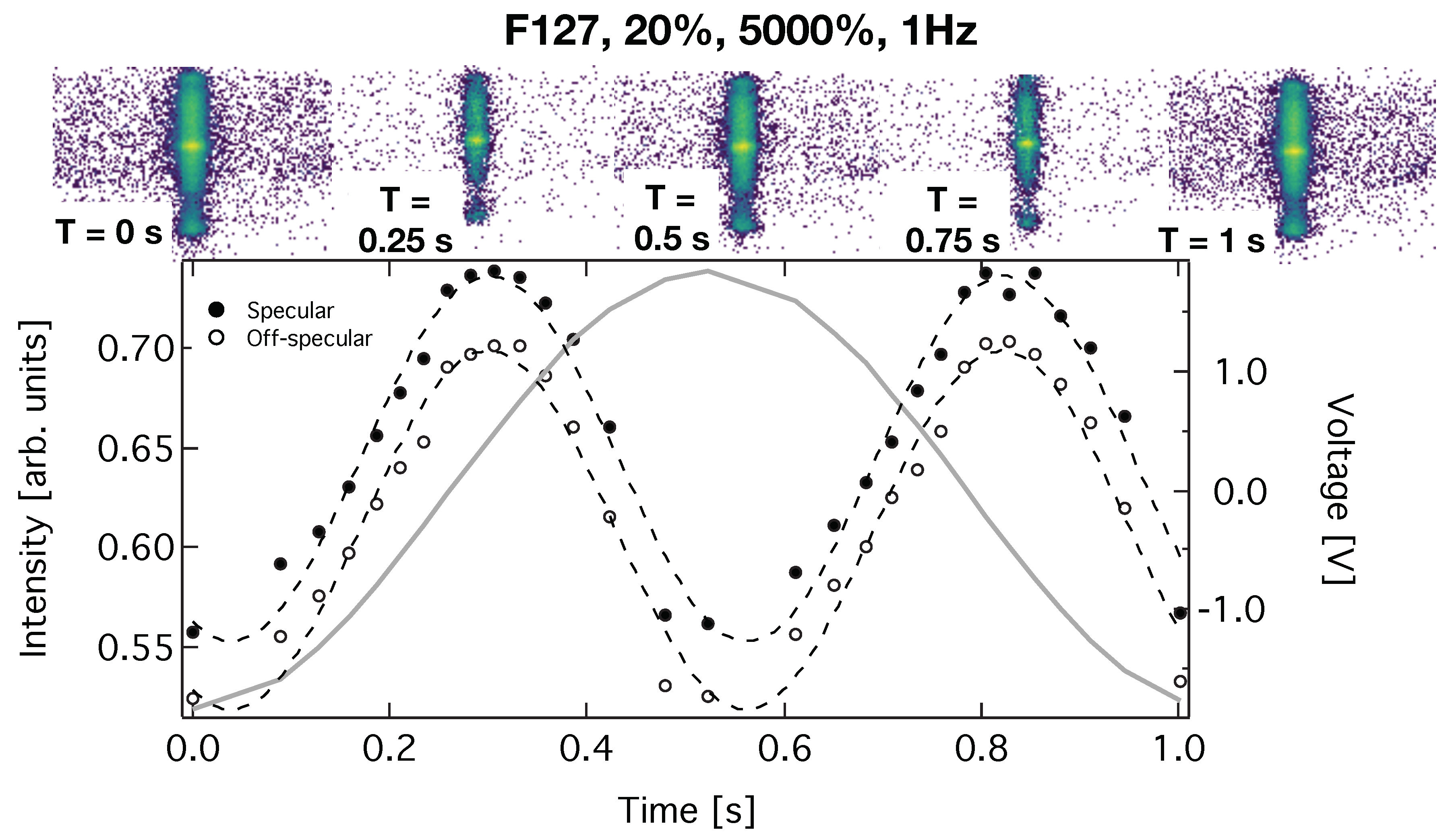 Polymers 11 00445 g005