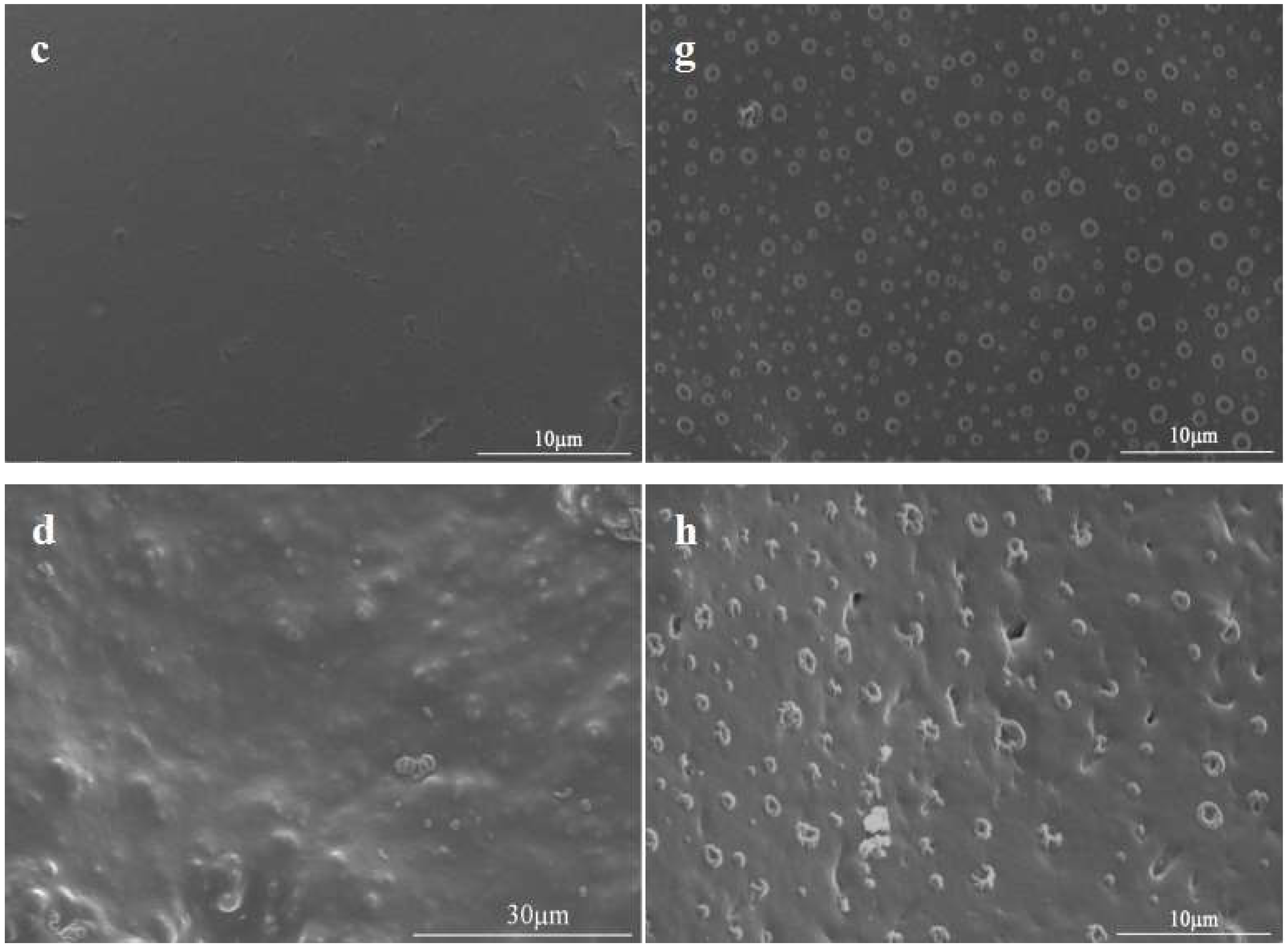 Polymers 11 00454 g012b