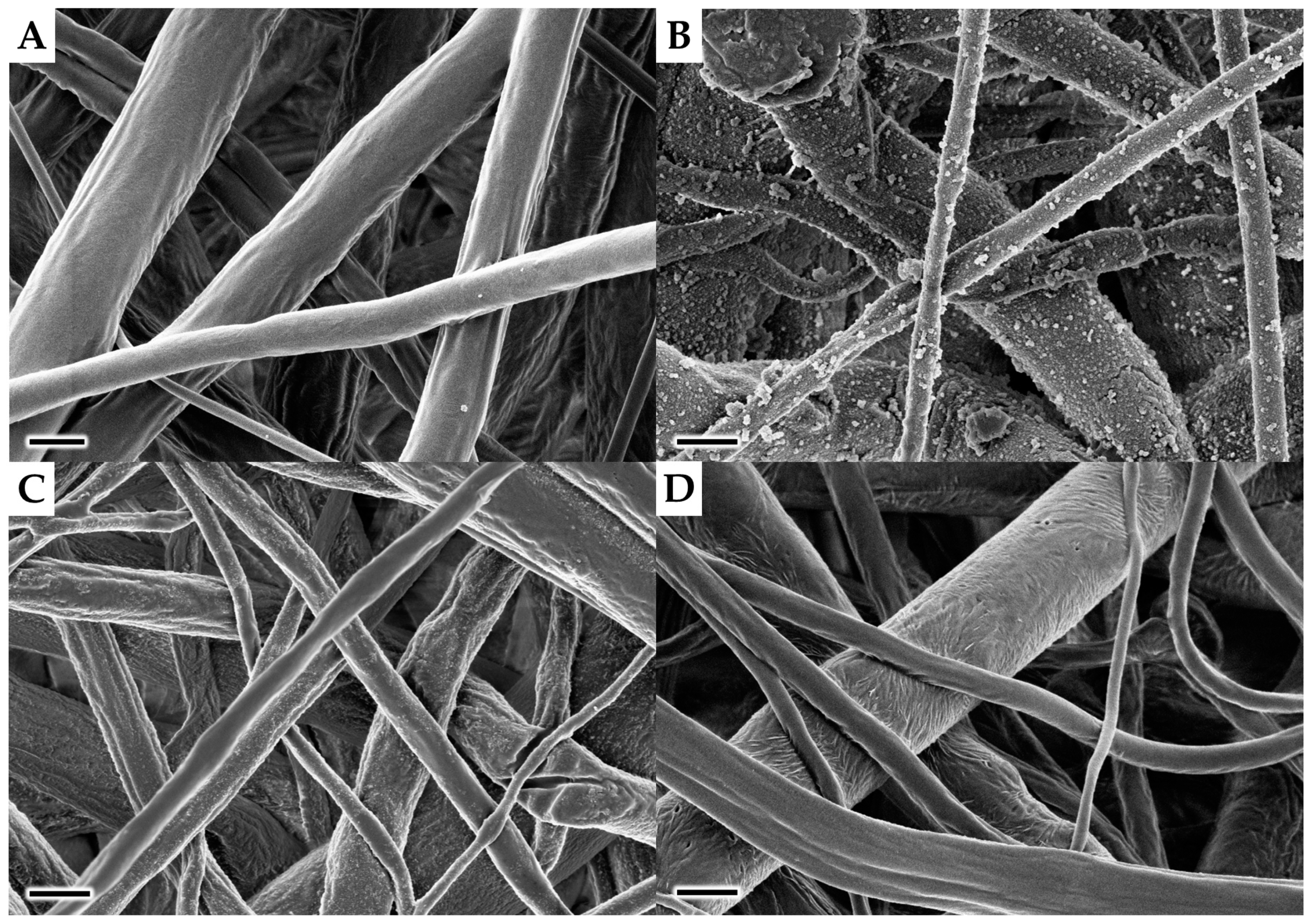 Polymers 11 00459 g002 Polymers 11 00459 g002