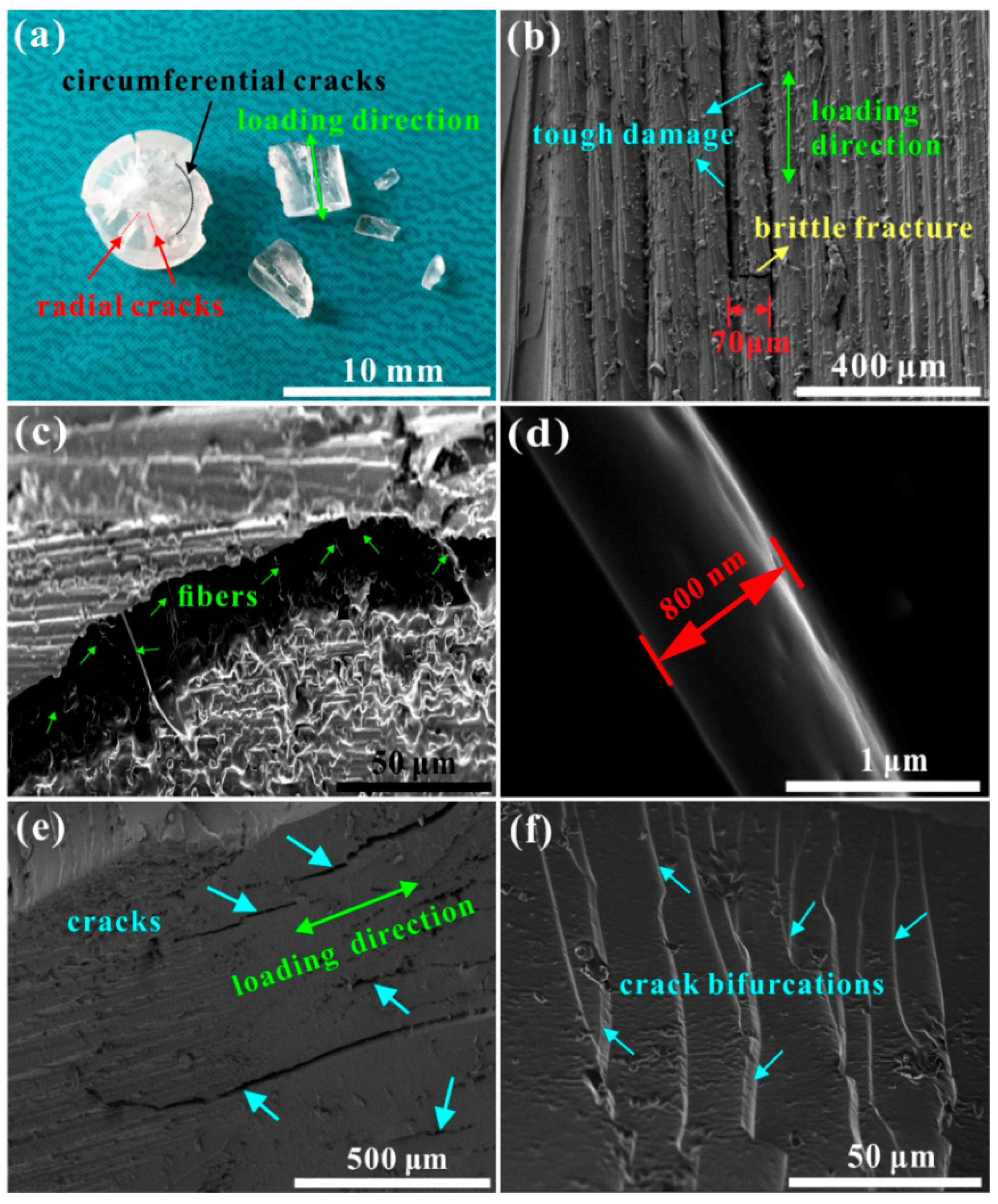 Polymers 11 00467 g007
