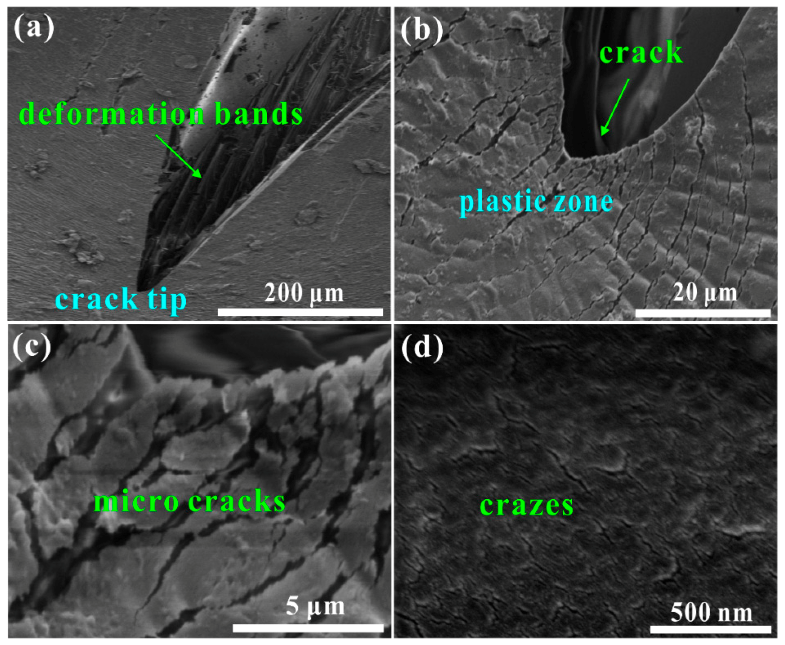Polymers 11 00467 g008