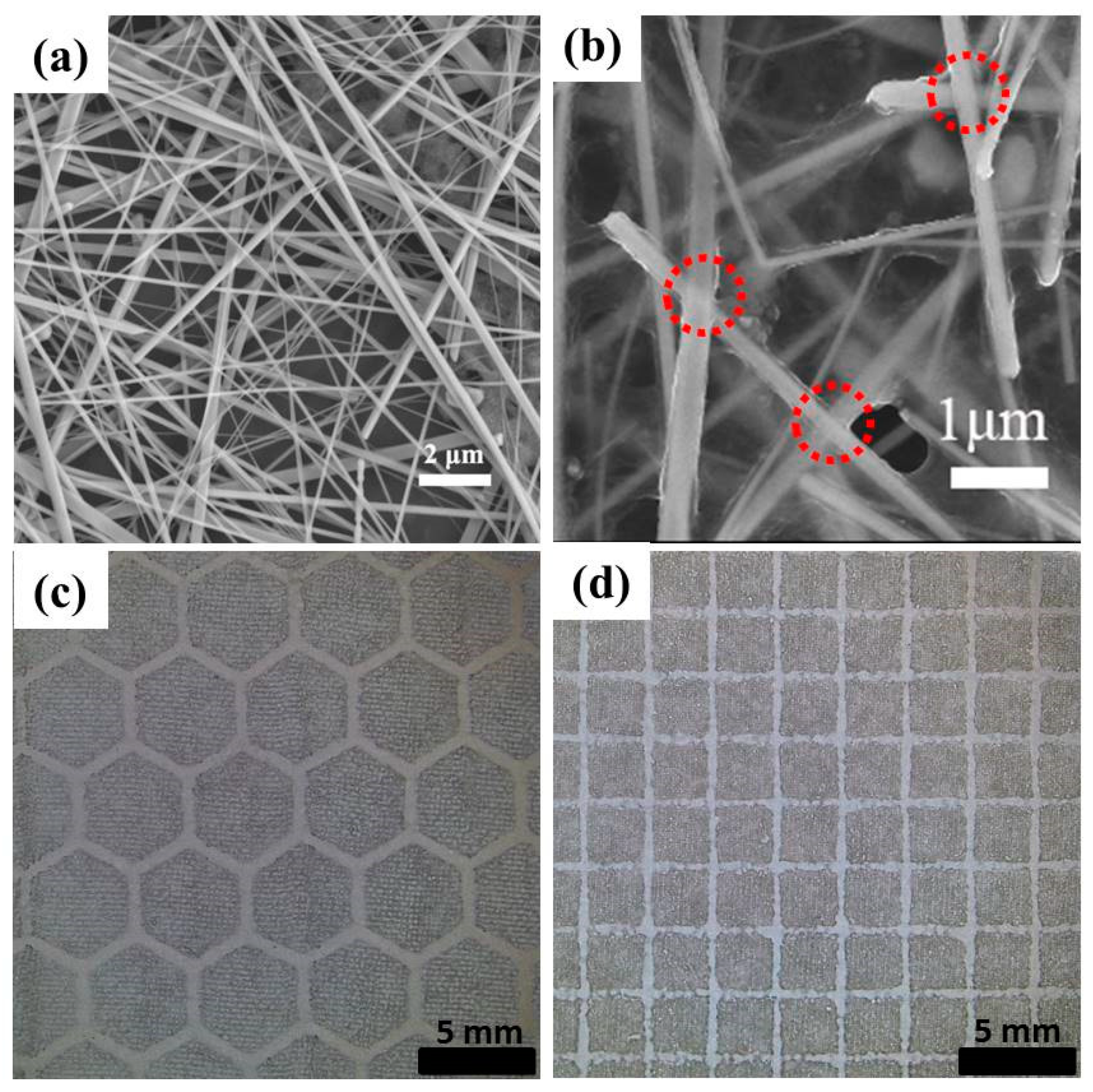 Polymers 11 00468 g002 Polymers 11 00468 g002