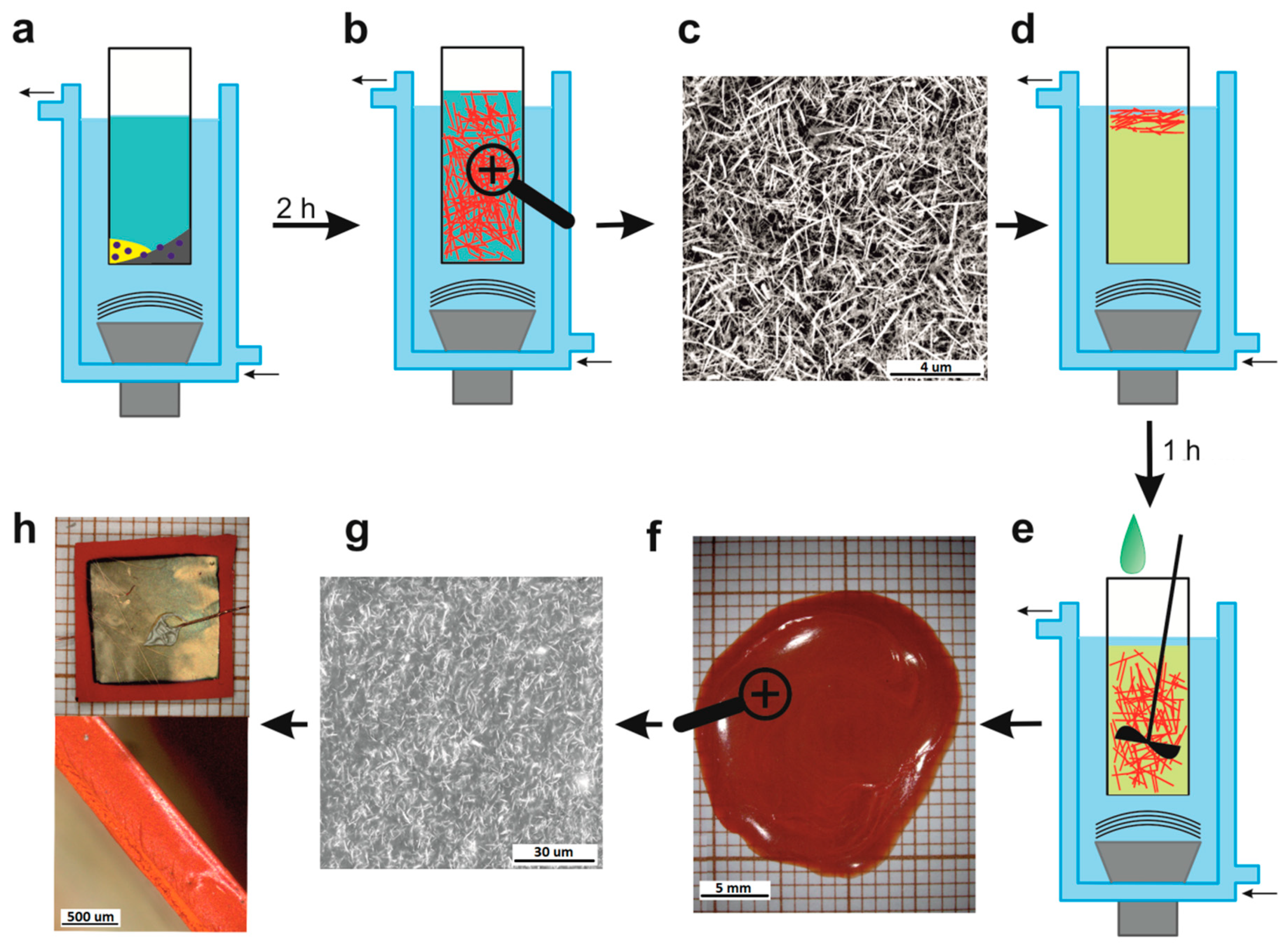 Polymers 11 00479 g001