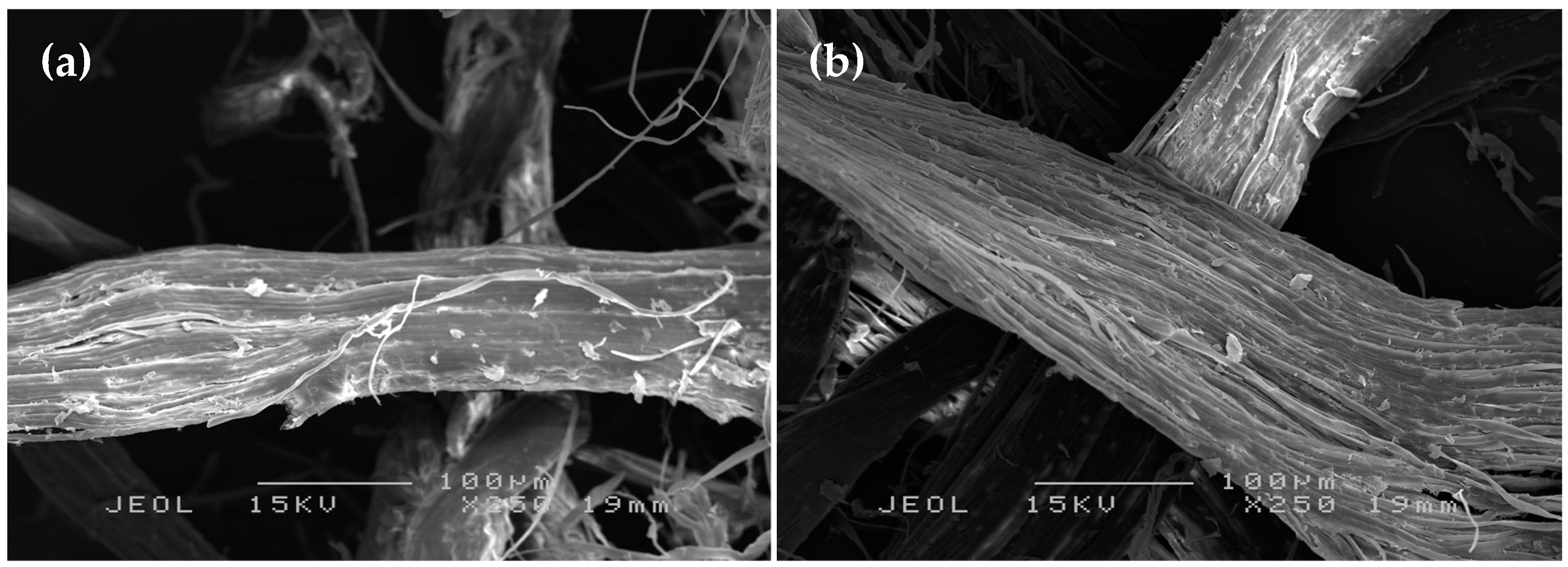 Polymers 11 00482 g002 Polymers 11 00482 g002