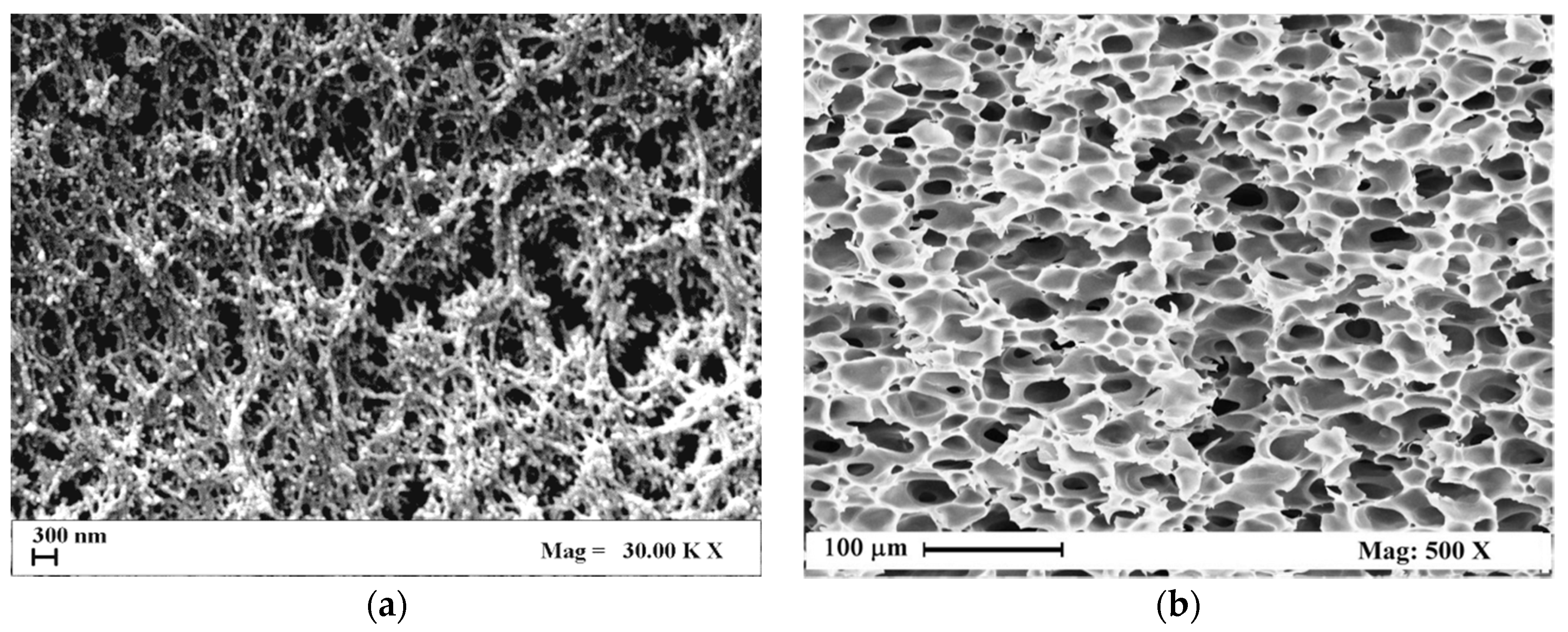 Polymers 11 00485 g002 Polymers 11 00485 g002