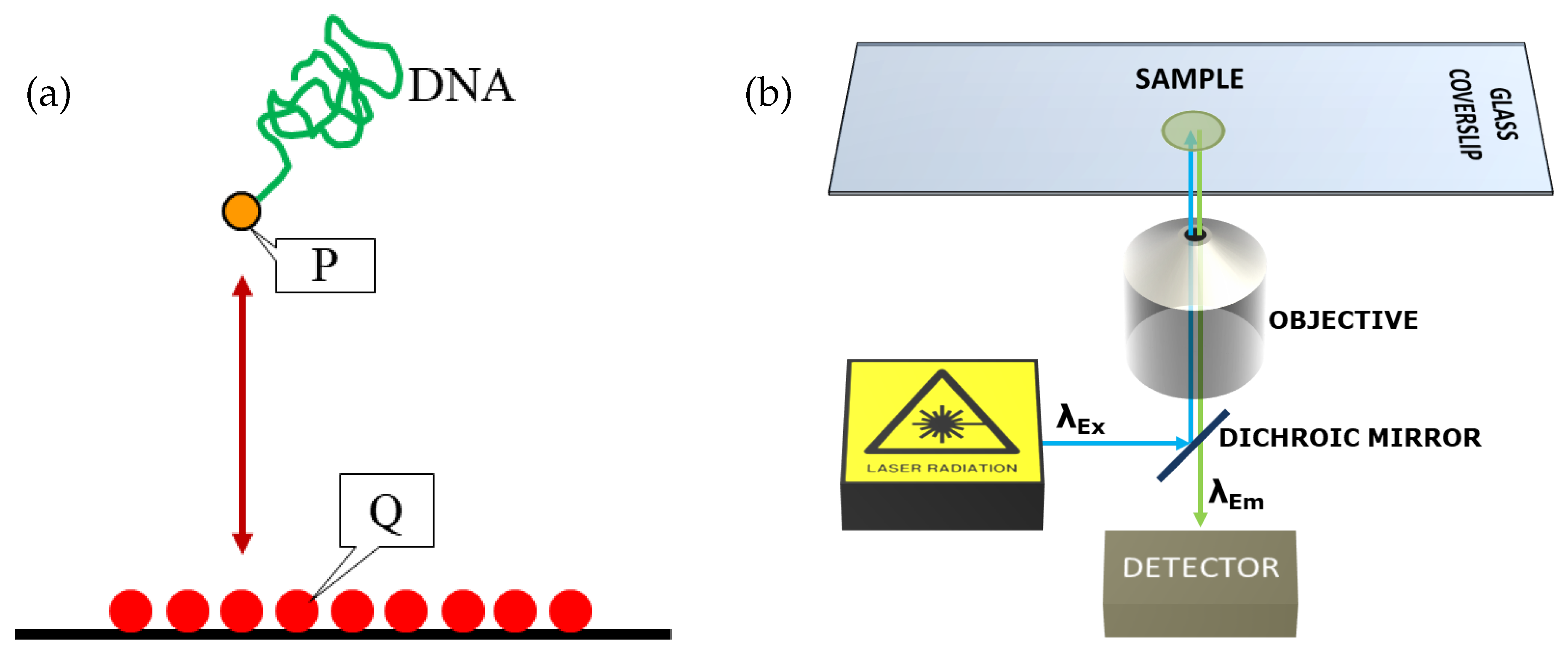 Polymers 11 00488 g003