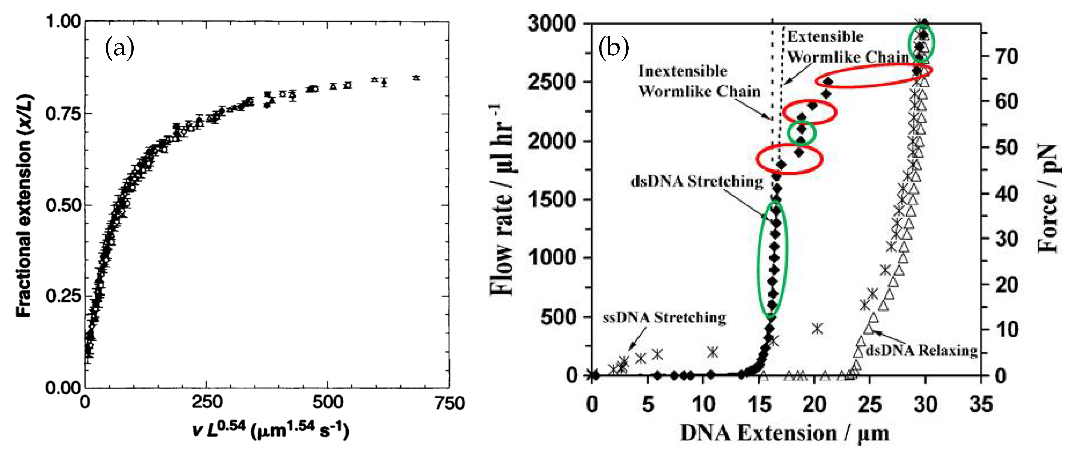 Polymers 11 00488 g005