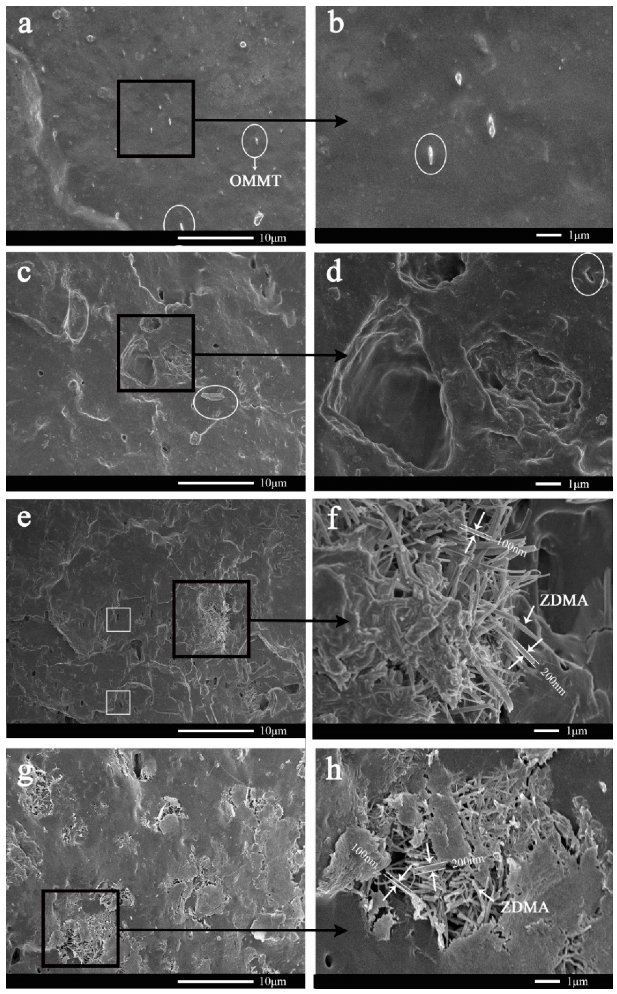 Polymers 11 00492 g007