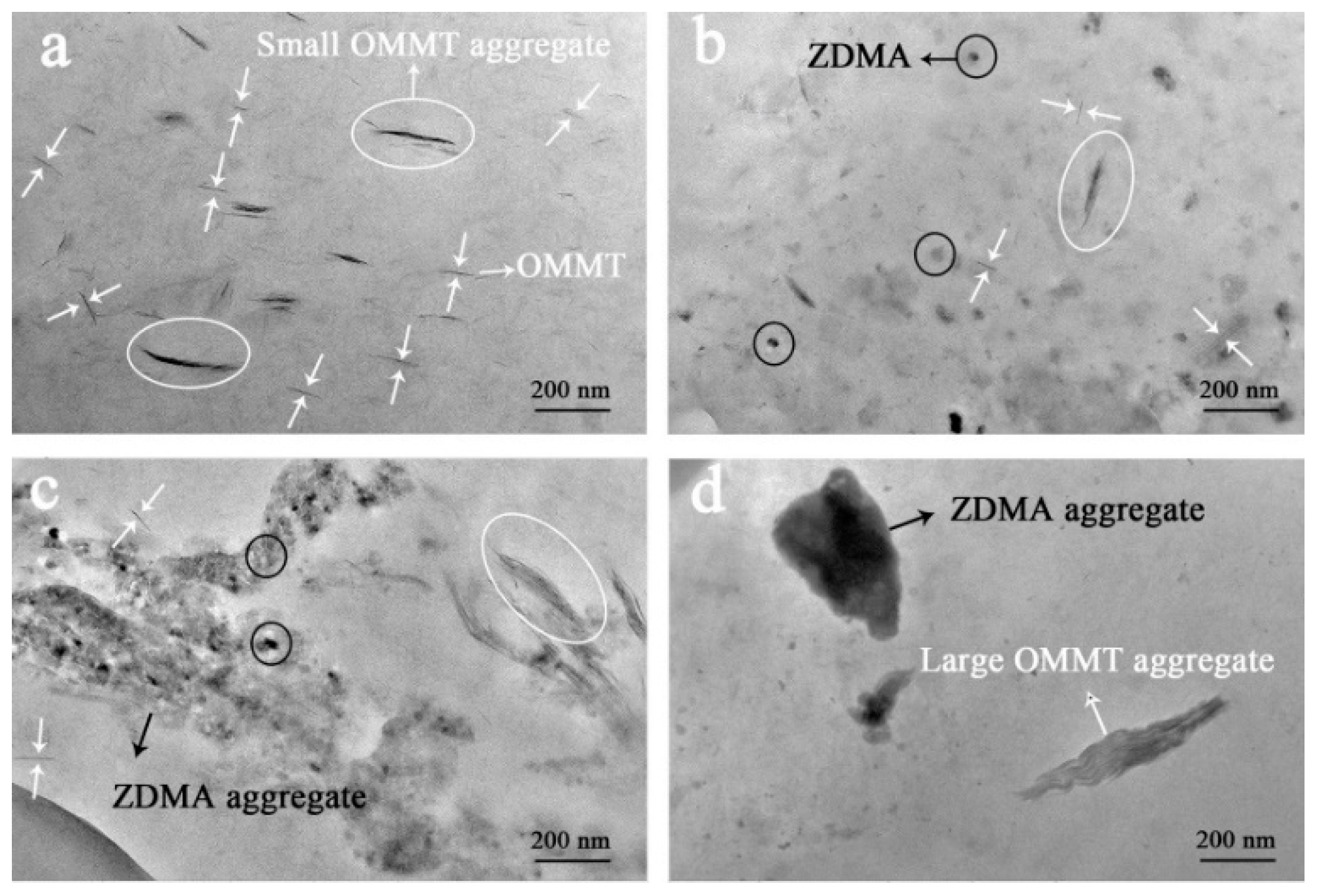 Polymers 11 00492 g008