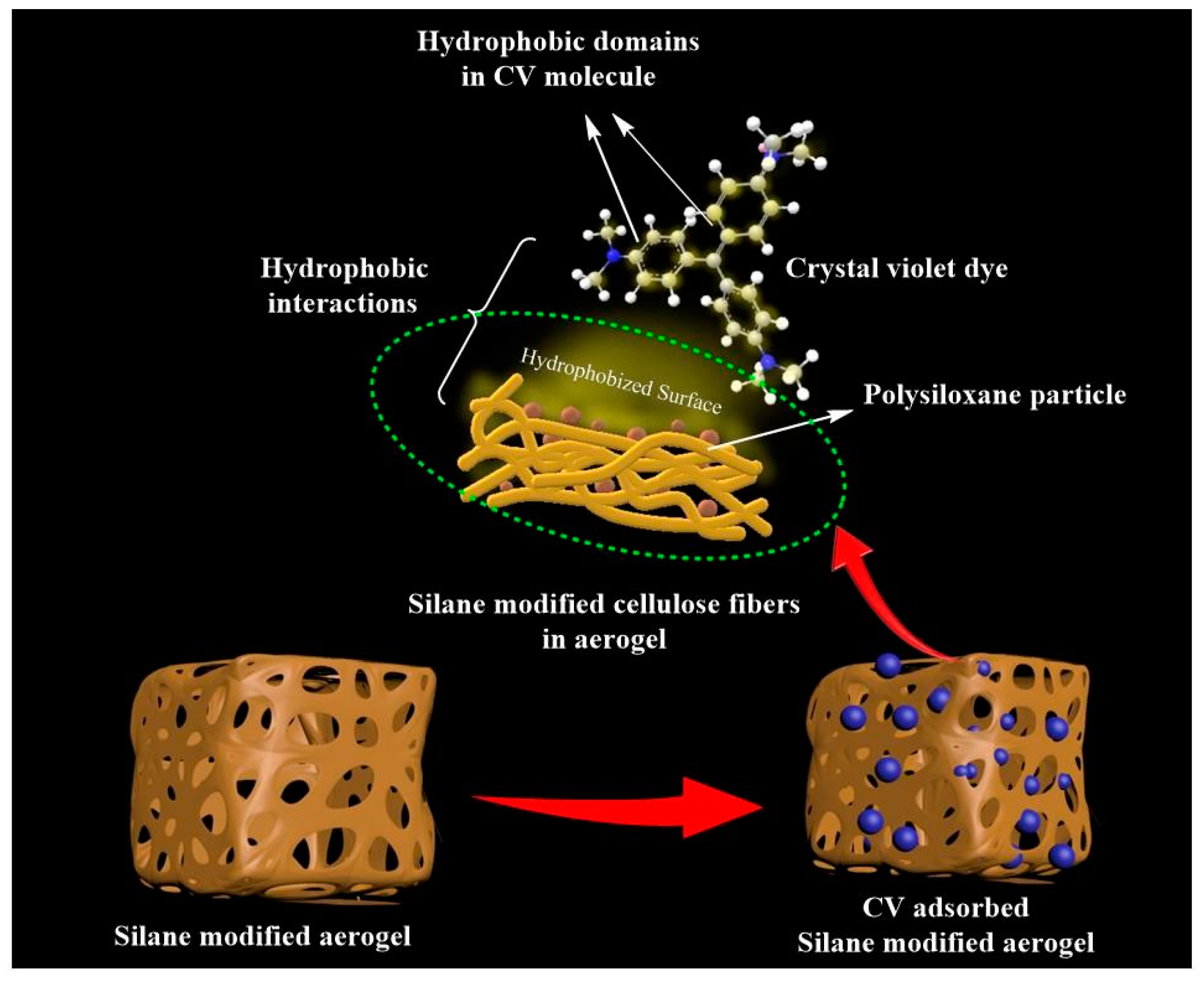 Polymers 11 00495 g008