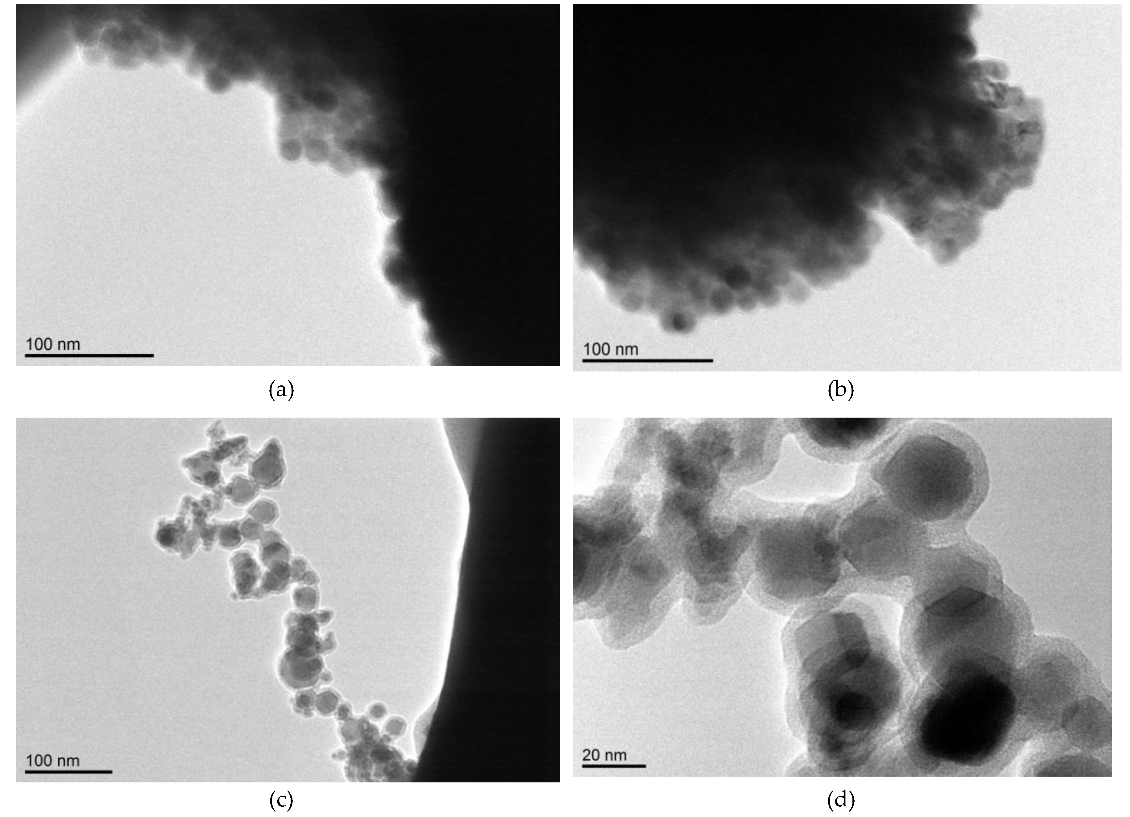 Polymers 11 00515 g012