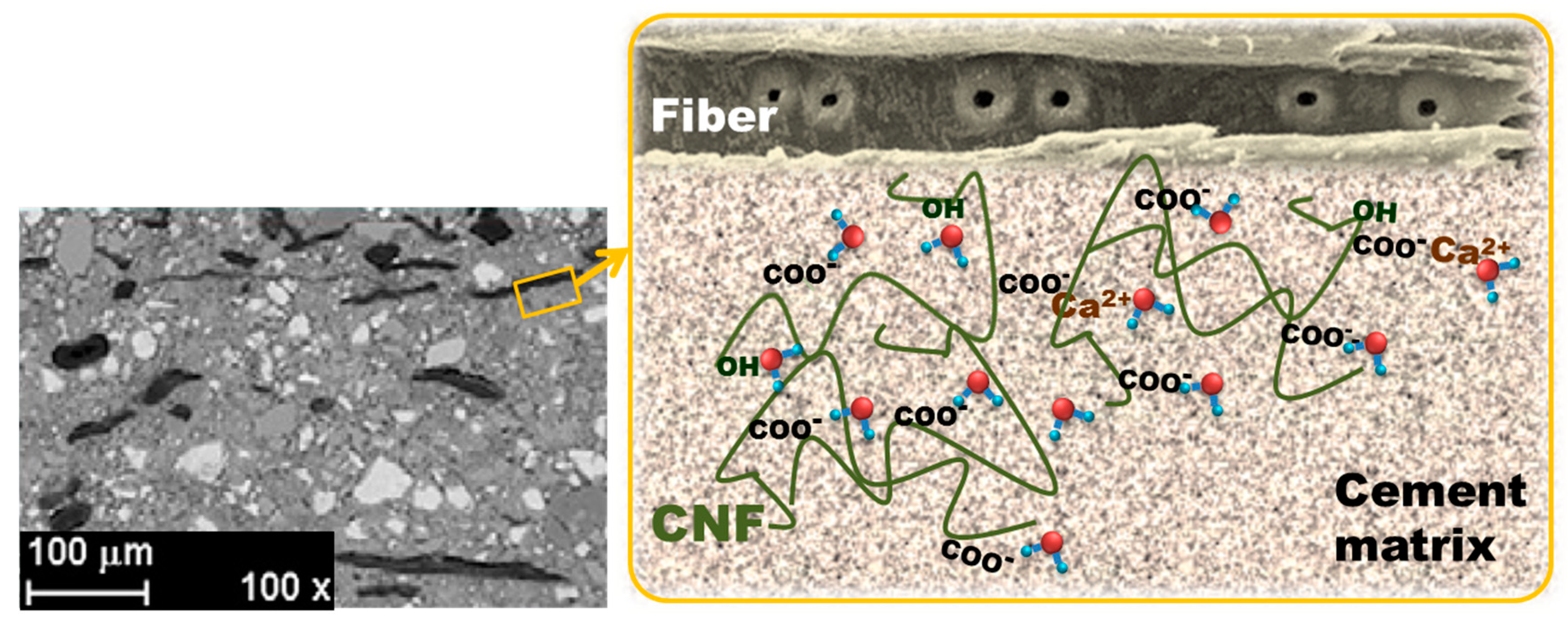 Polymers 11 00518 g002