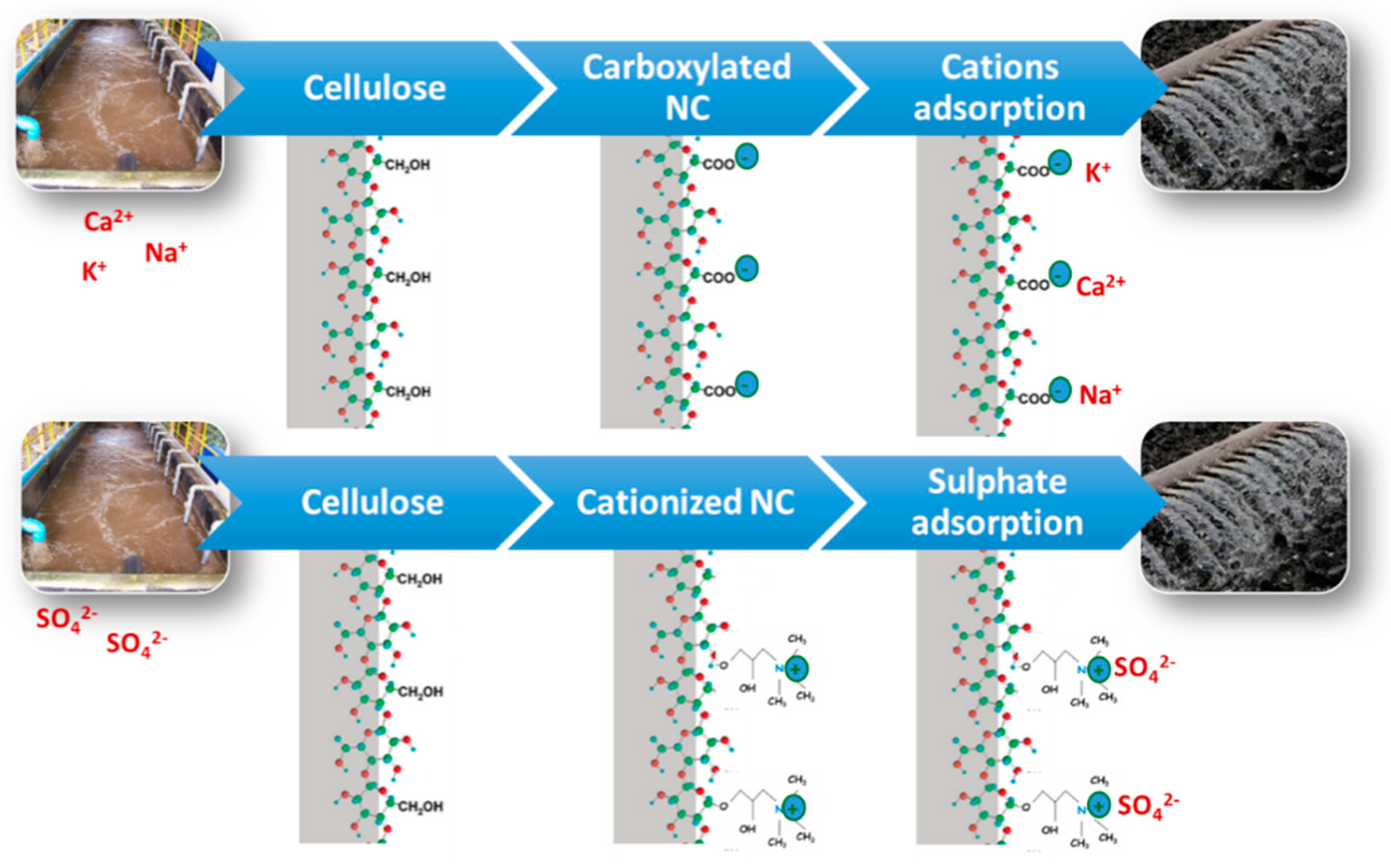 Polymers 11 00518 g006