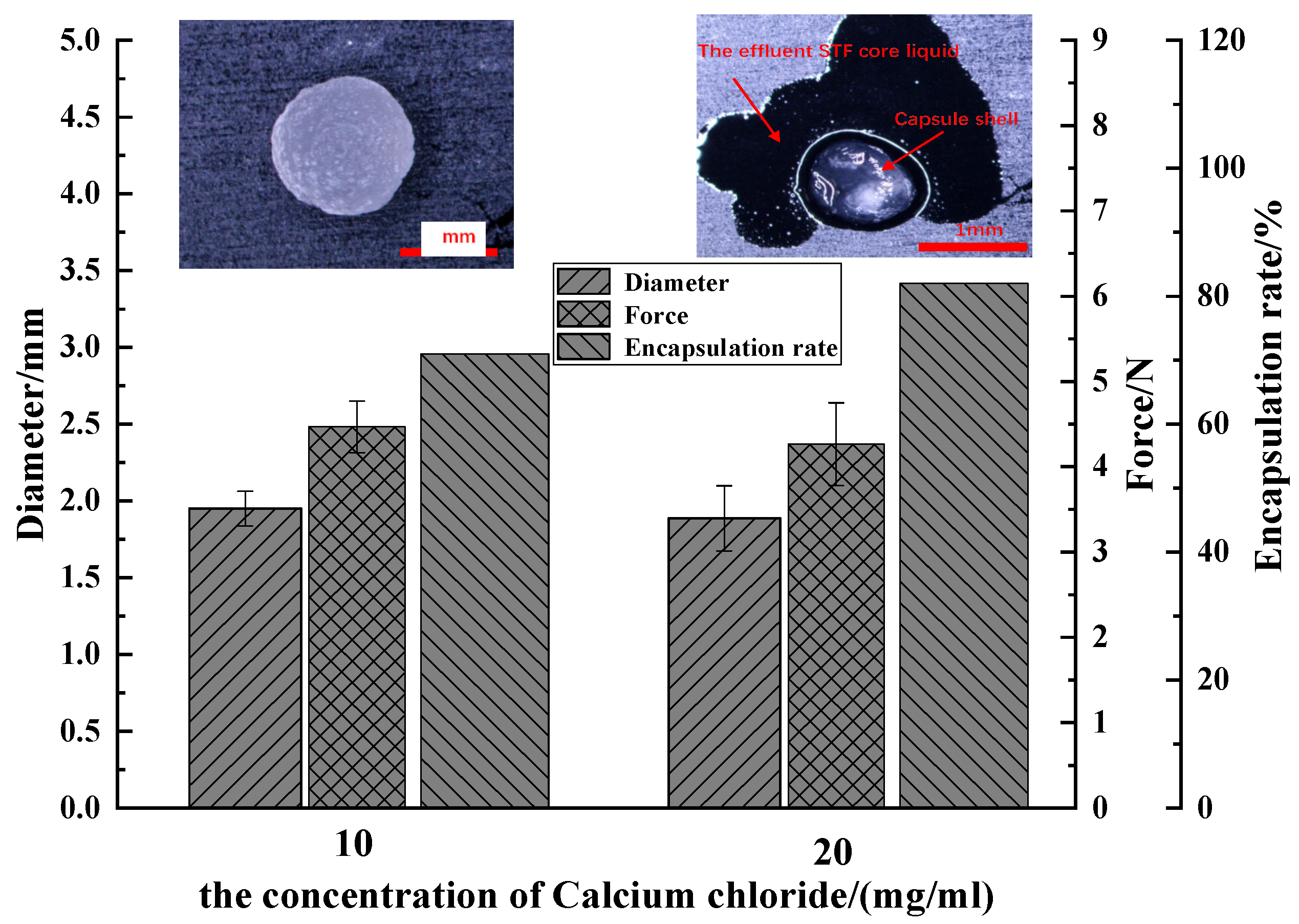 Polymers 11 00519 g005