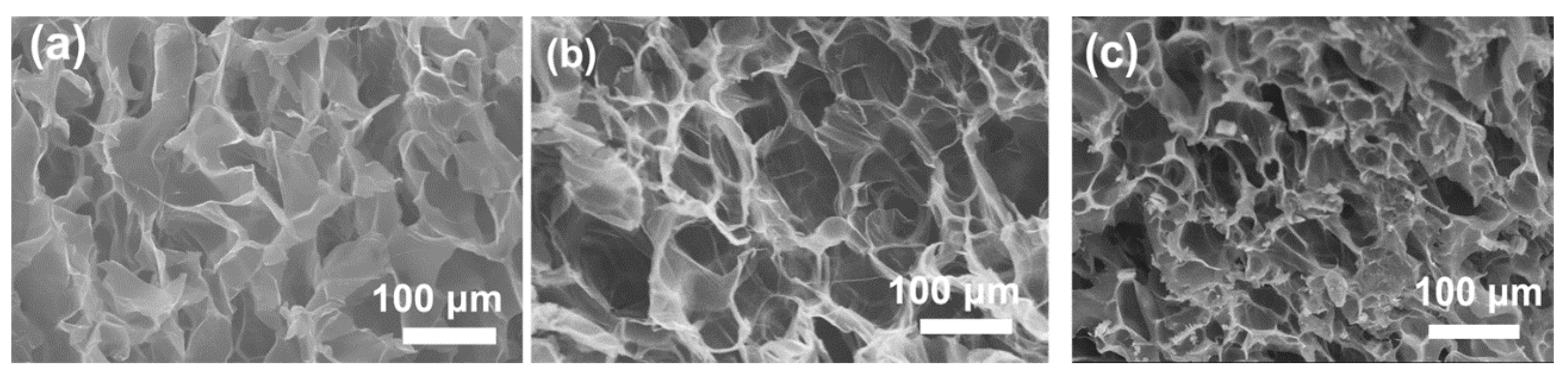 Polymers 11 00524 g006
