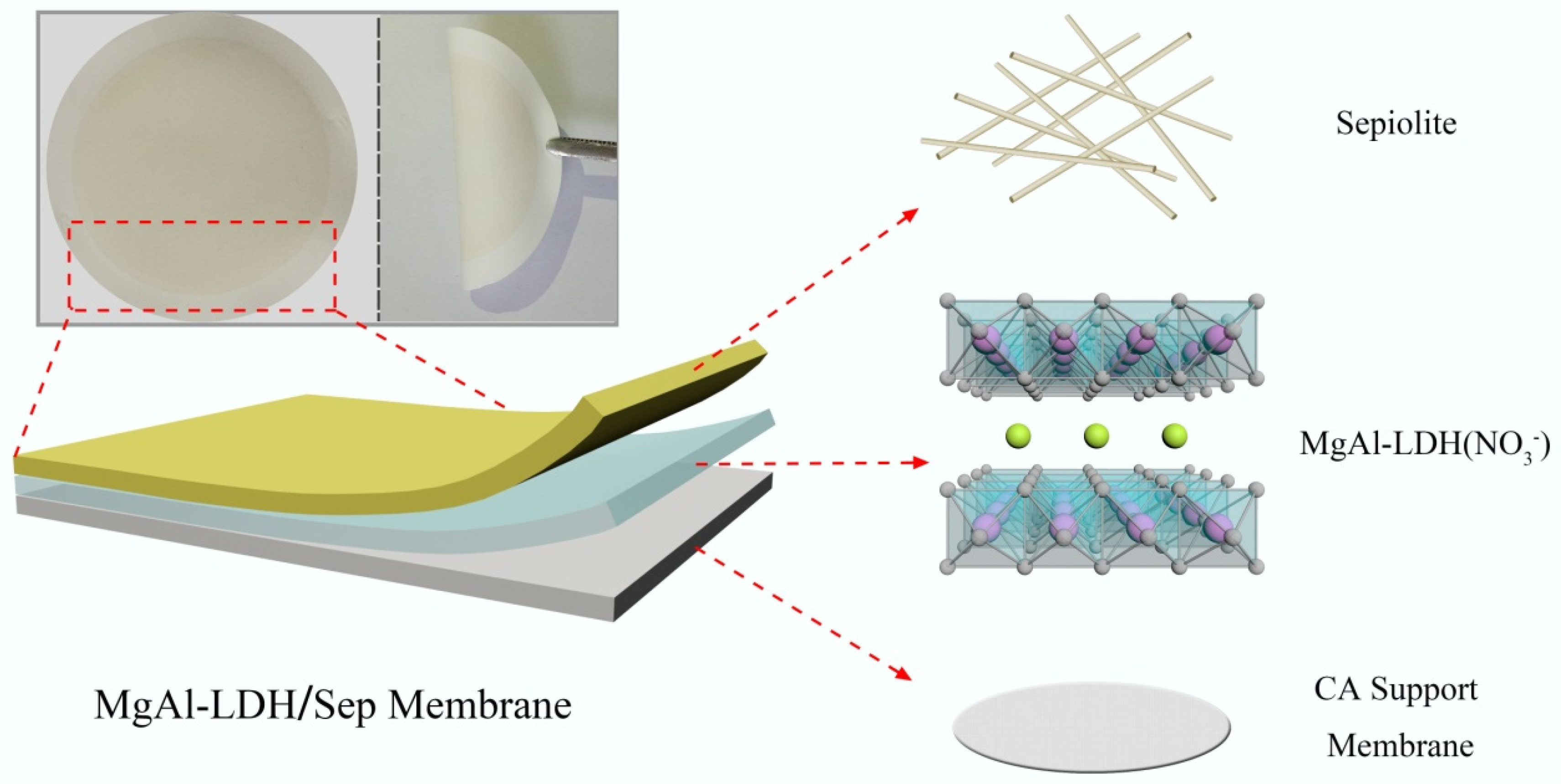 Polymers 11 00525 g001 550