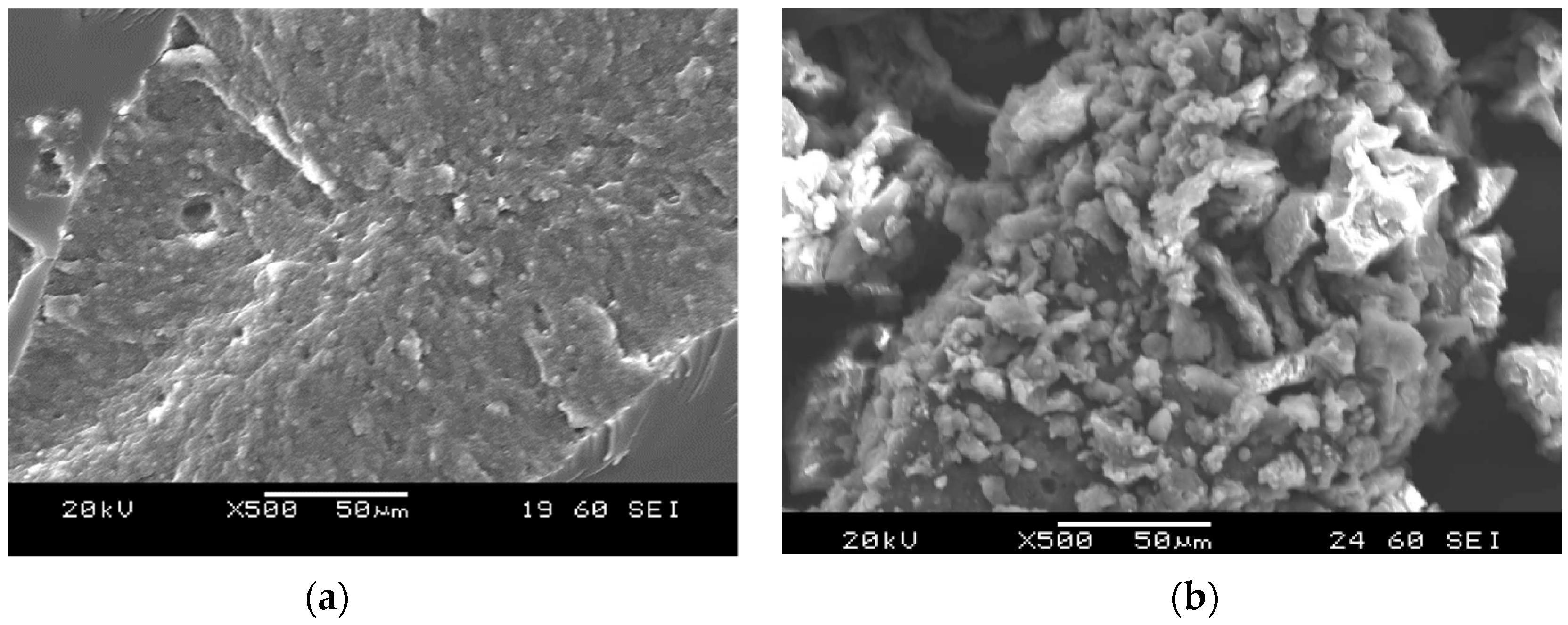 Polymers 11 00529 g001