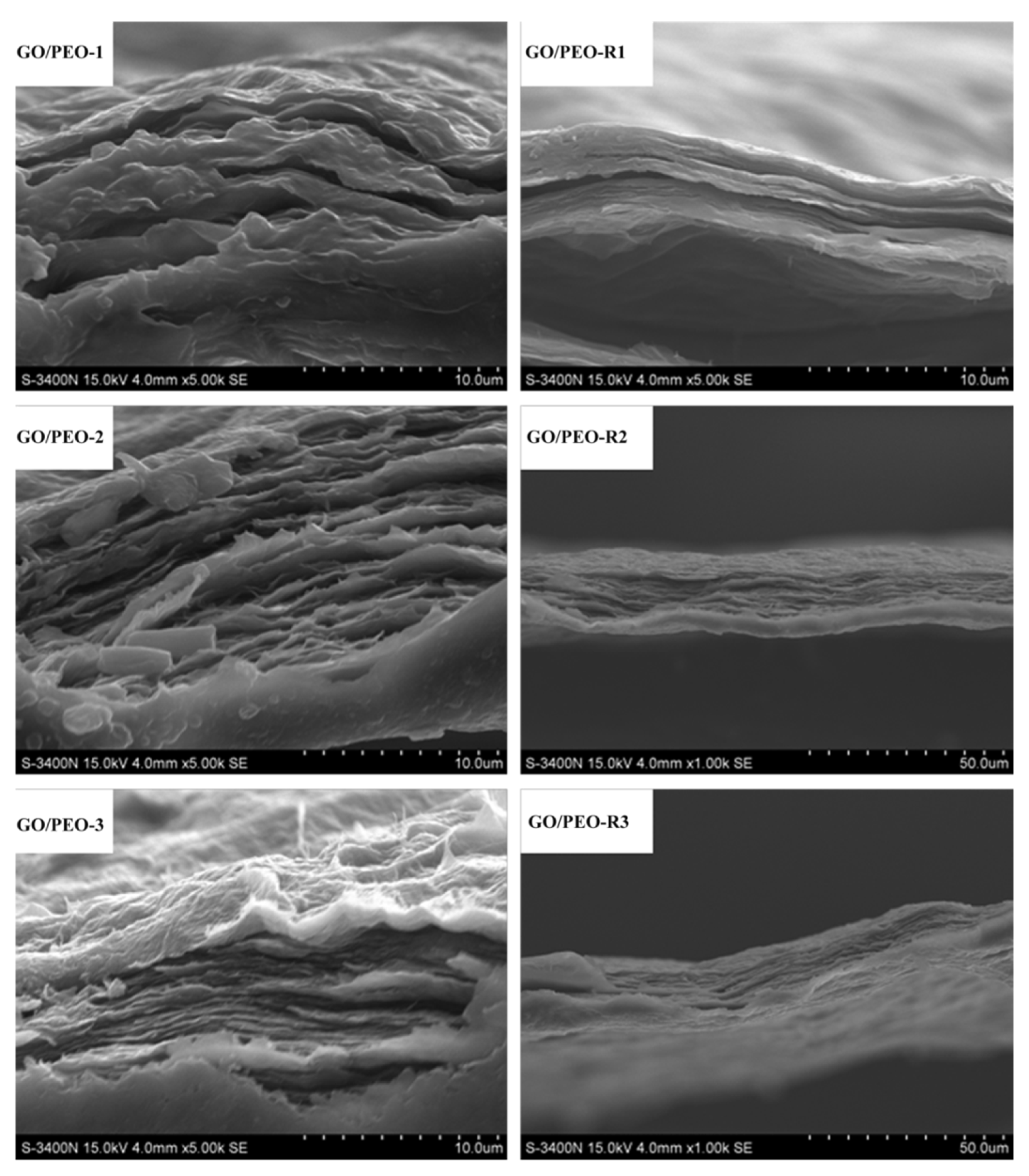 Polymers 11 00532 g004