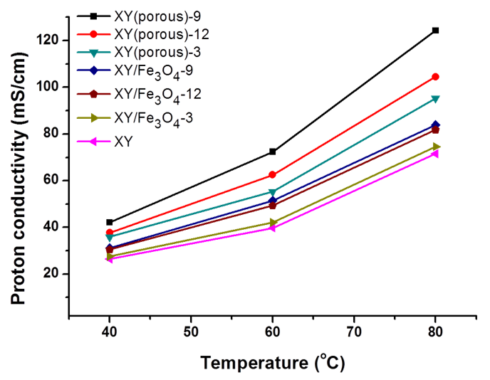 Polymers Free Full Text A Comparative Study On Physiochemical Thermomechanical And Electrochemical Properties Of Sulfonated Poly Ether Ether Ketone Block Copolymer Membranes With And Without Fe3o4 Nanoparticles Html Polymers Free Full Text A Comparative Study On Physiochemical Thermomechanical And Electrochemical Properties Of Sulfonated Poly Ether Ether Ketone Block Copolymer Membranes With And Without Fe3o4 Nanoparticles Html