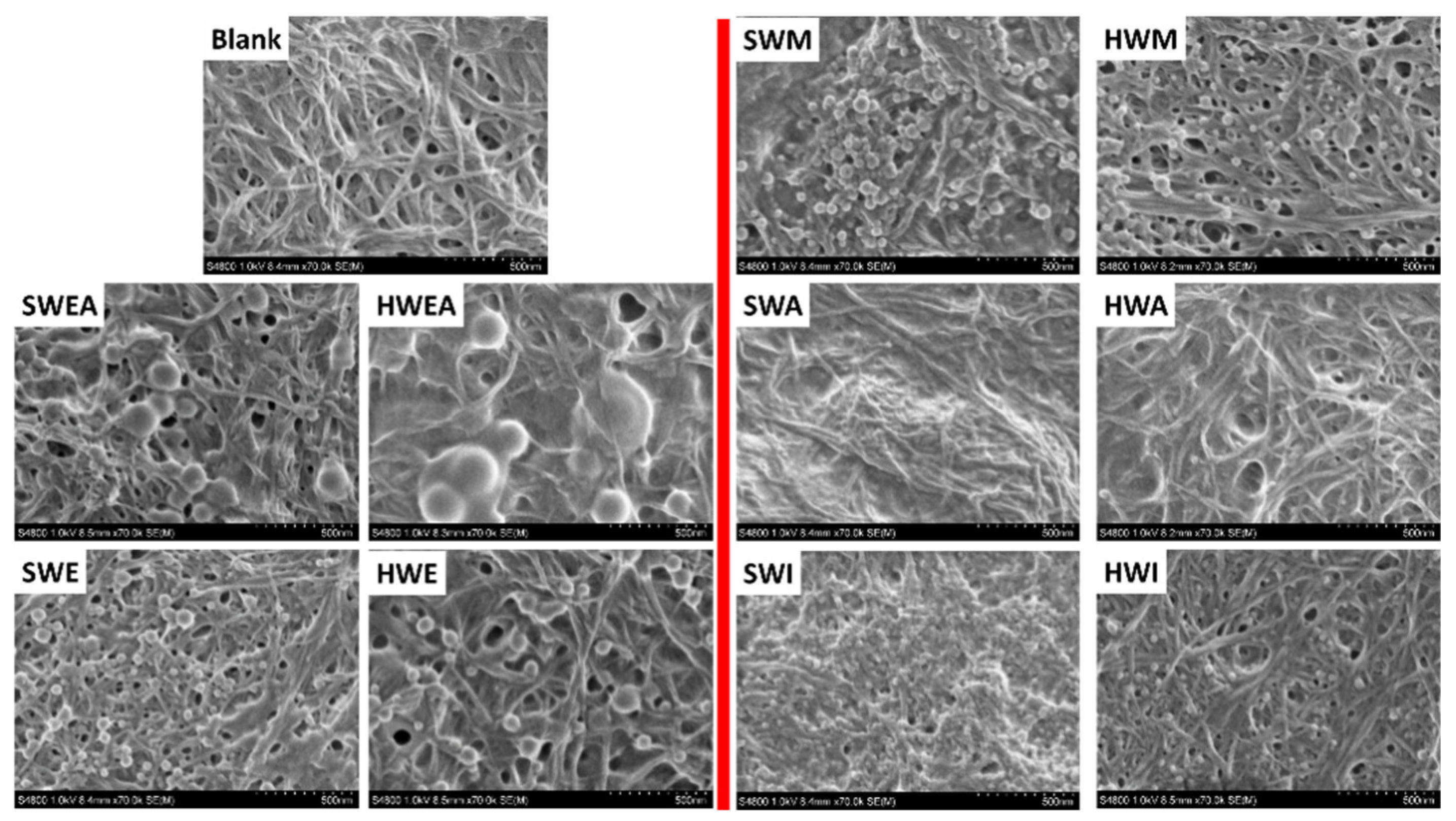 Polymers 11 00538 g005
