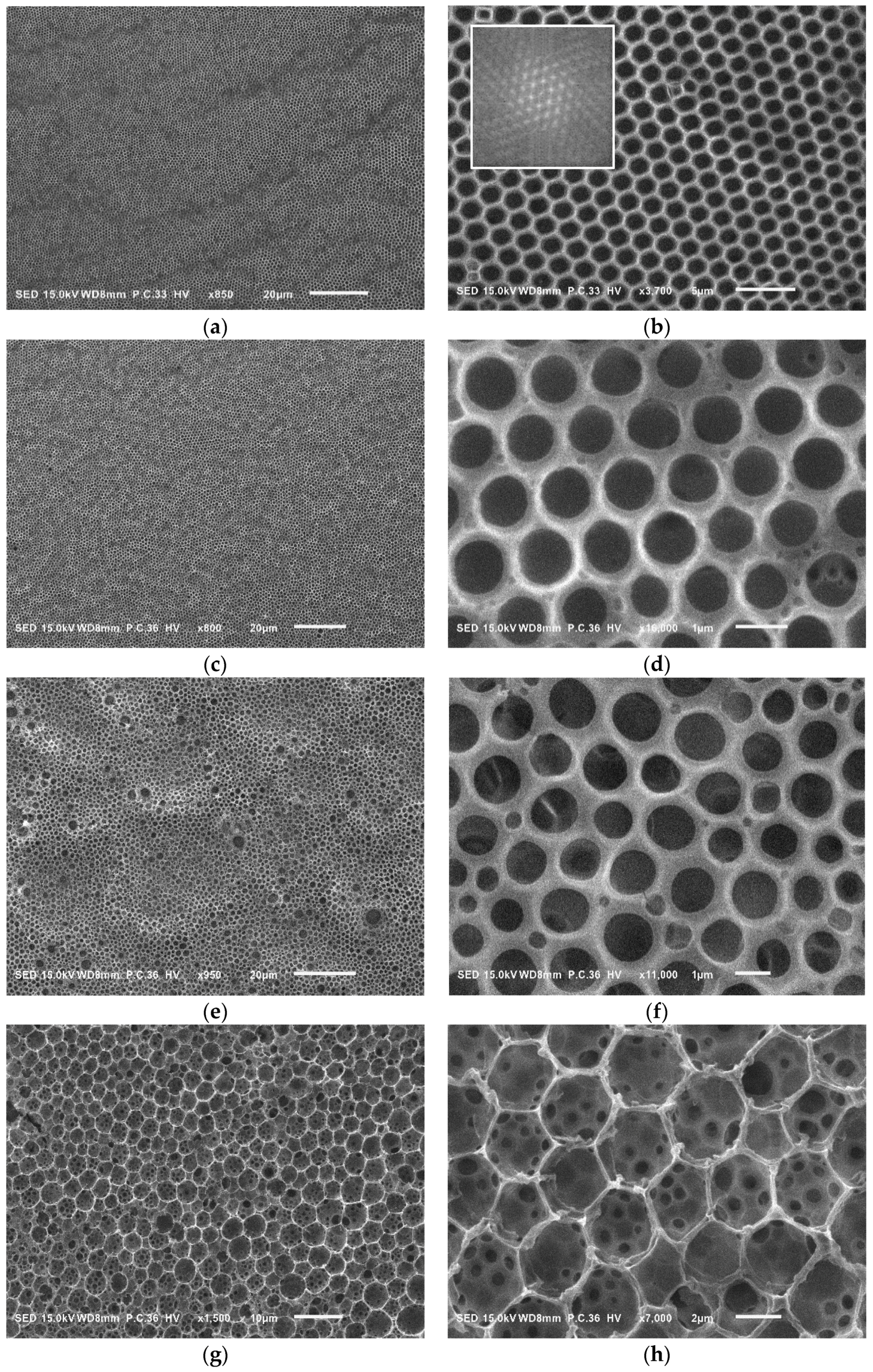 Polymers Free Full Text Controlled Atrp Synthesis Of Novel Linear Dendritic Block Copolymers And Their Directed Self Assembly In Breath Figure Arrays Html