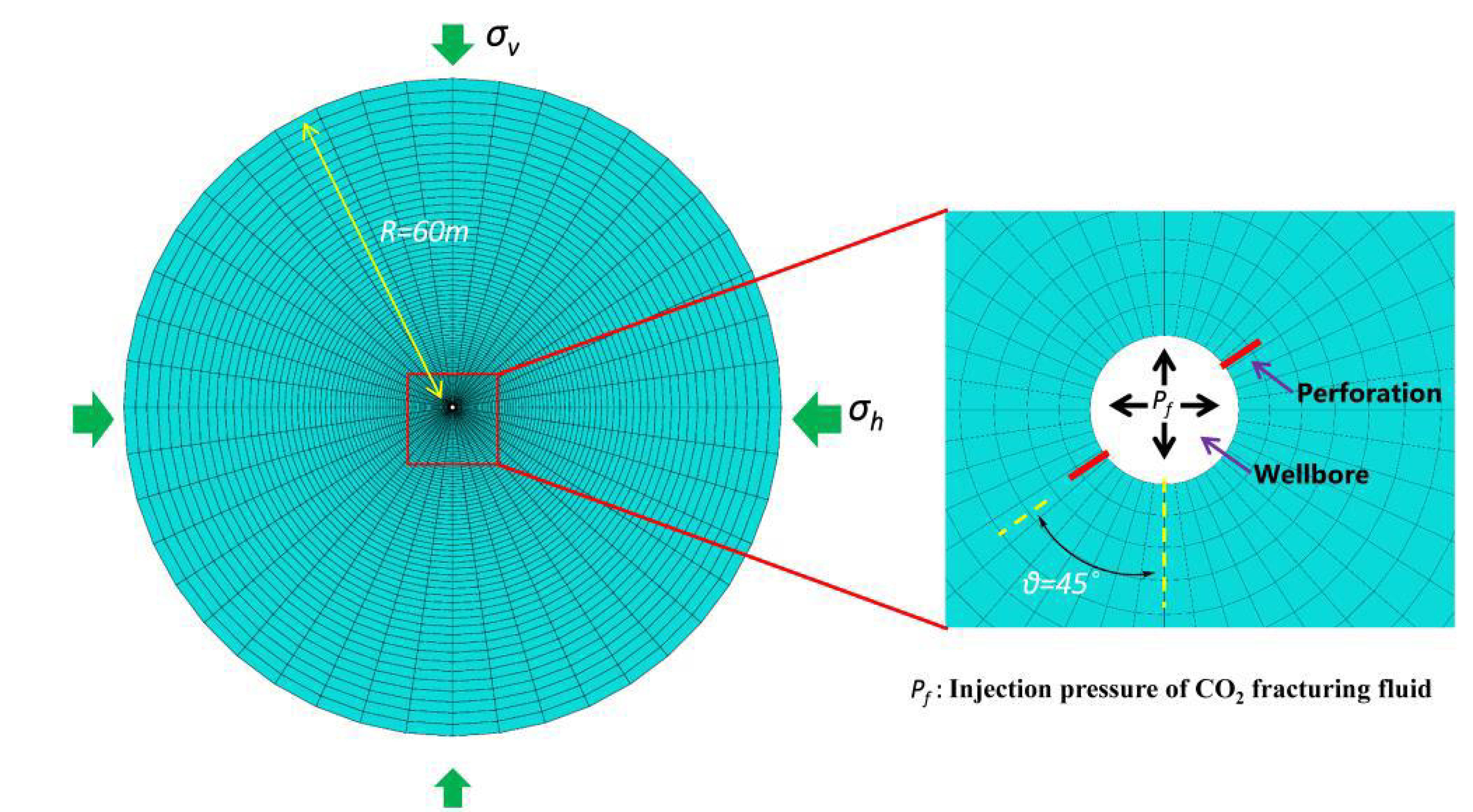Polymers 11 00540 g003 550
