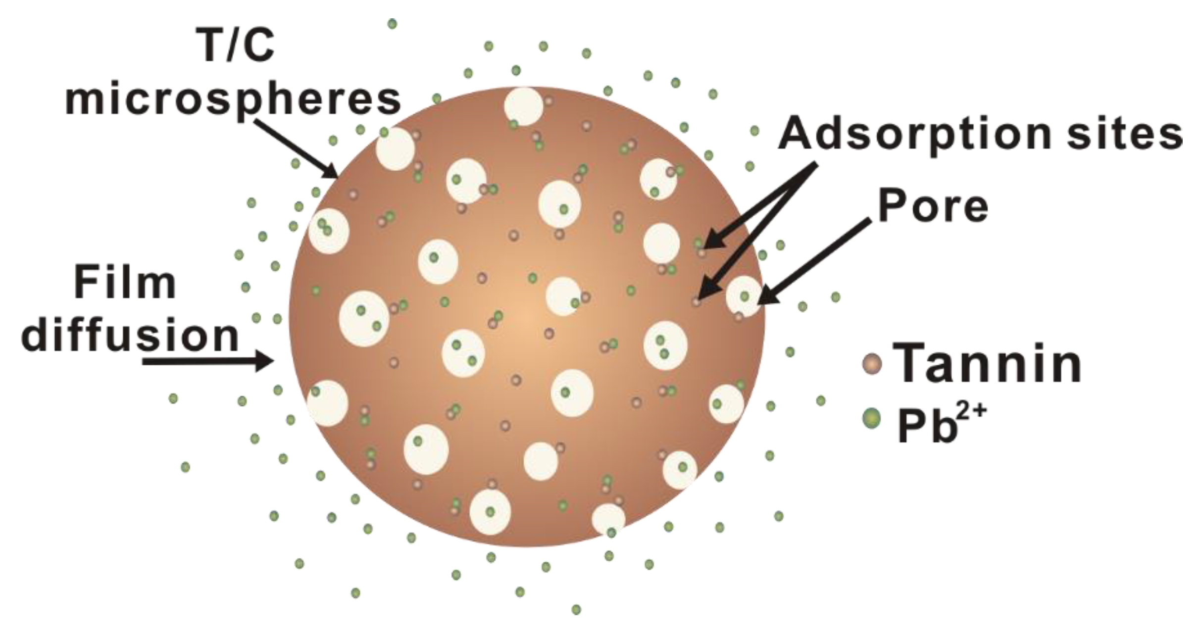 Polymers 11 00548 g006 550