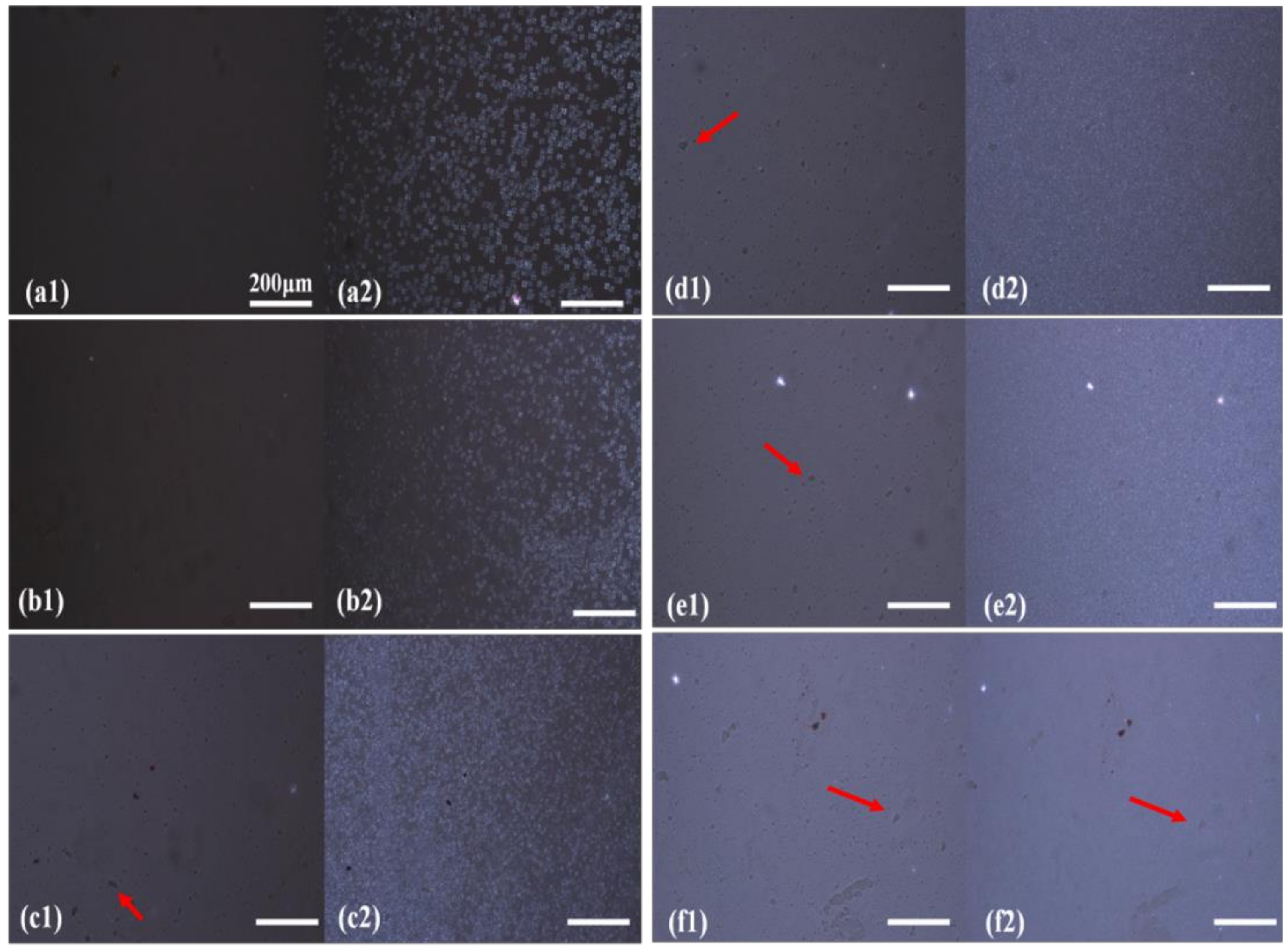 Polymers 11 00552 g001