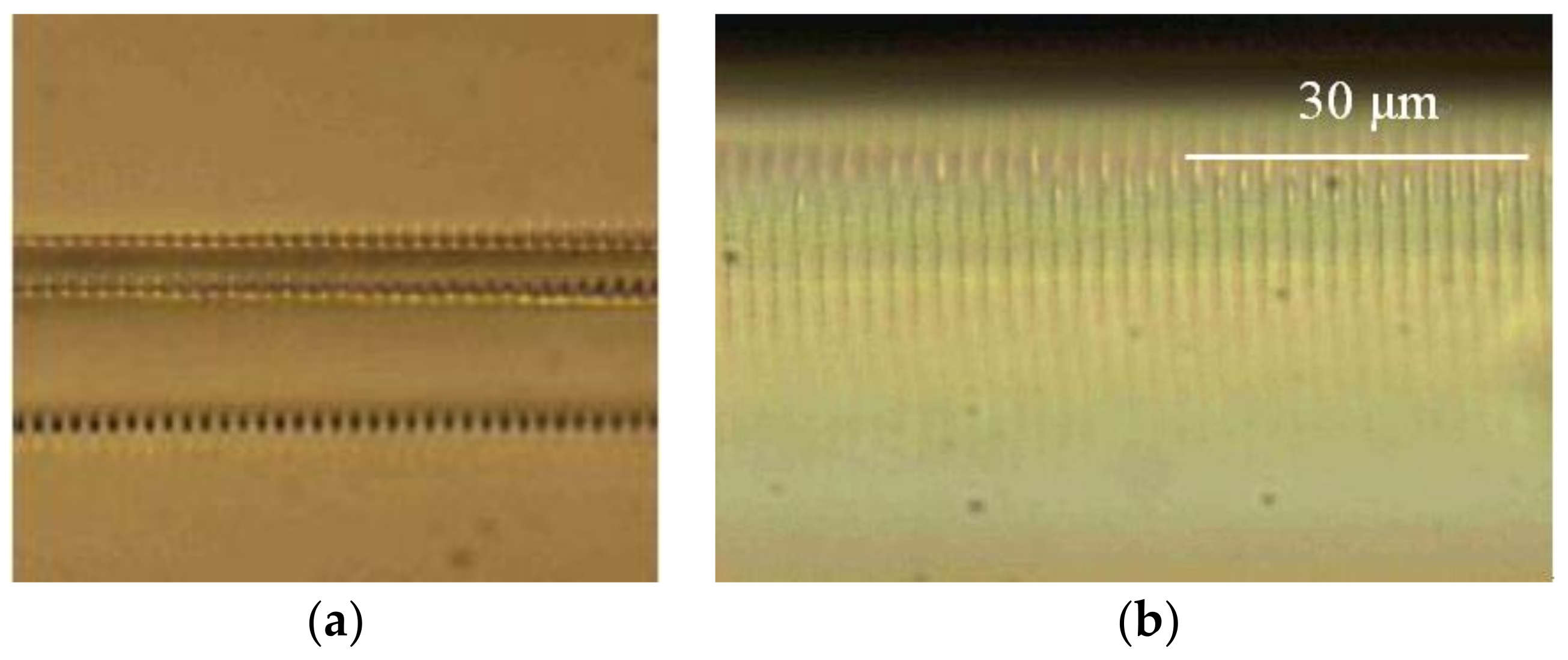 Polymers 11 00553 g002 Polymers 11 00553 g002