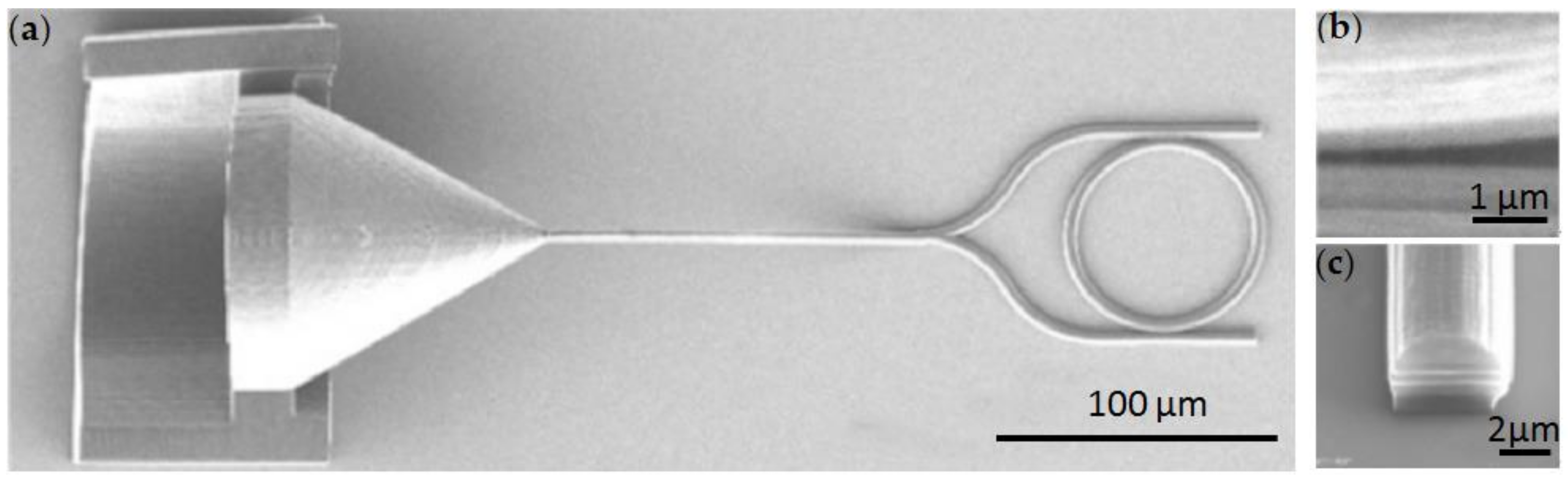 Polymers 11 00553 g004 Polymers 11 00553 g004