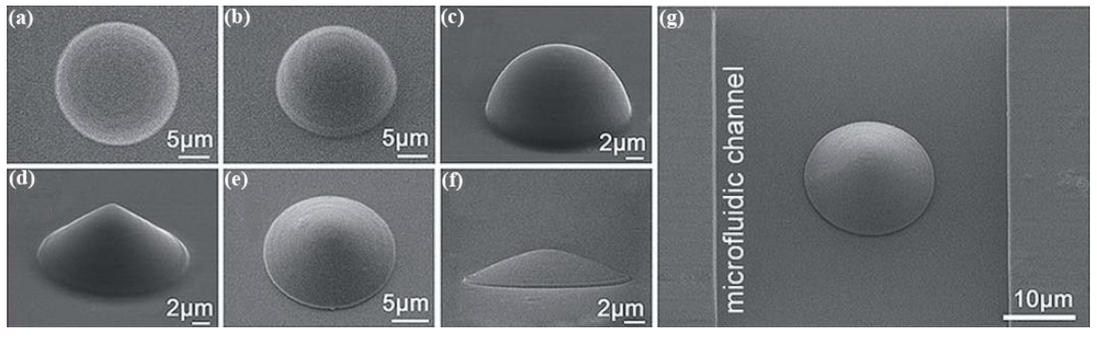 Polymers 11 00553 g009 Polymers 11 00553 g009