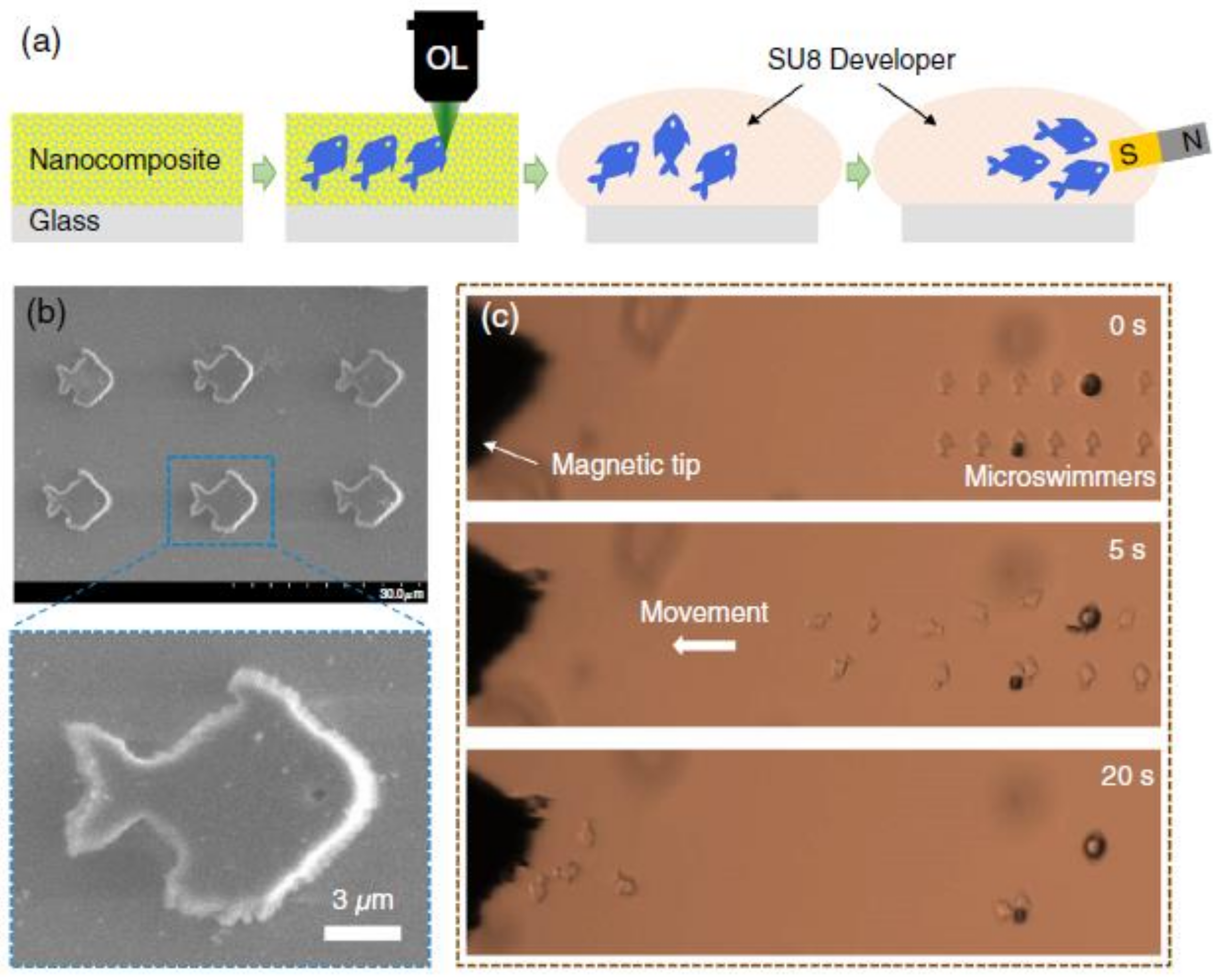 Polymers 11 00553 g019 Polymers 11 00553 g019