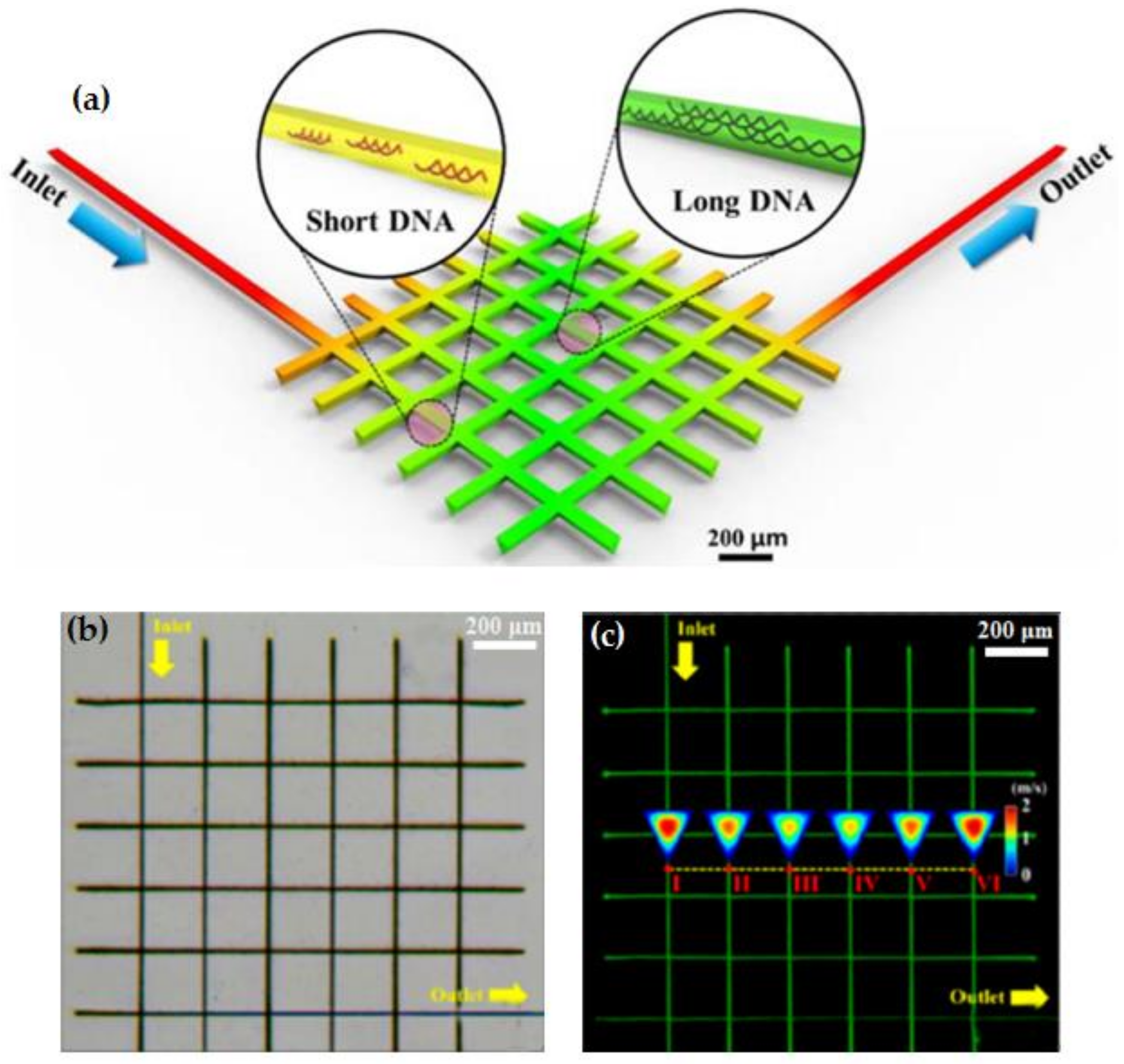 Polymers 11 00553 g020 Polymers 11 00553 g020