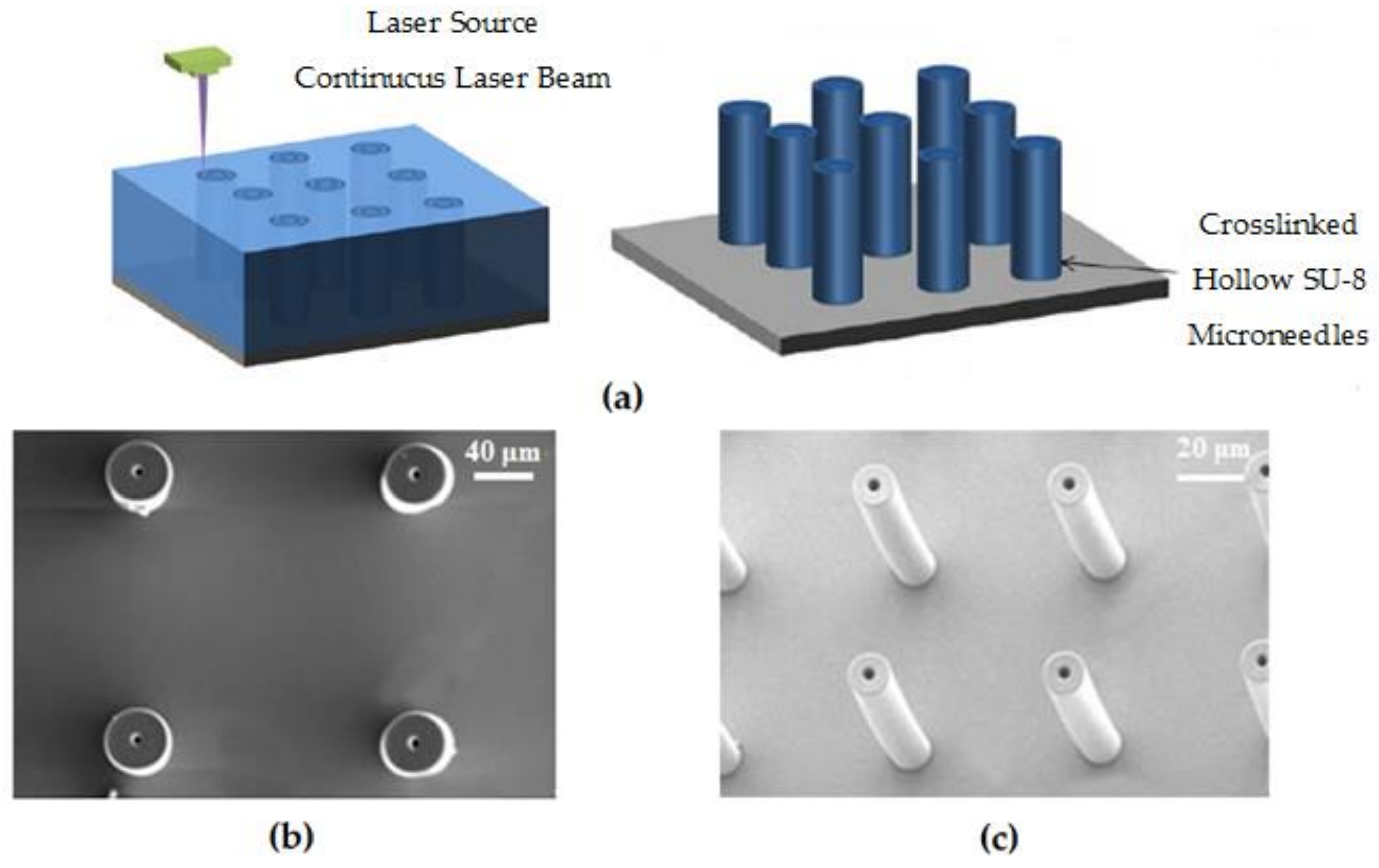 Polymers 11 00553 g023 Polymers 11 00553 g023
